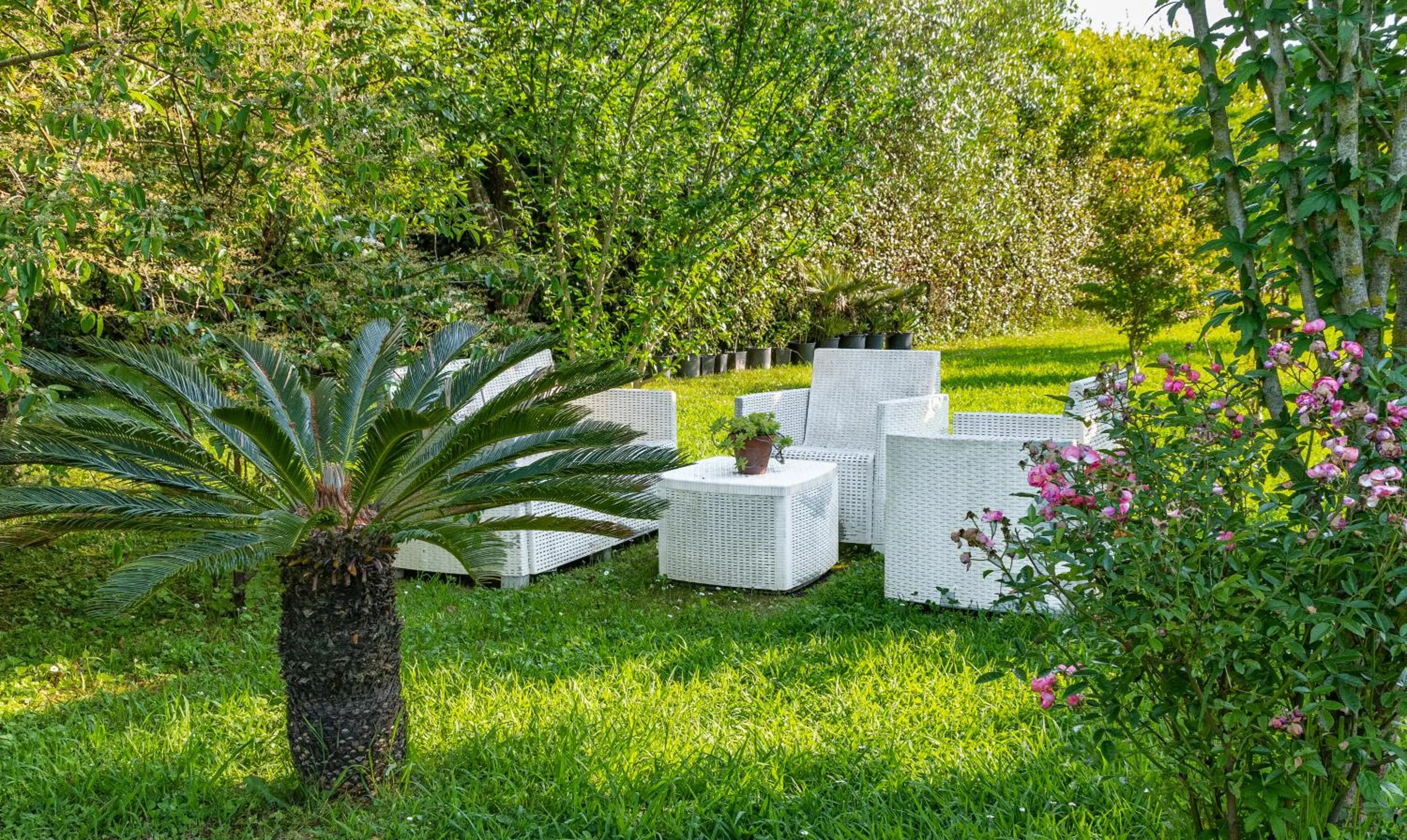 Garden in B&B Da Pio