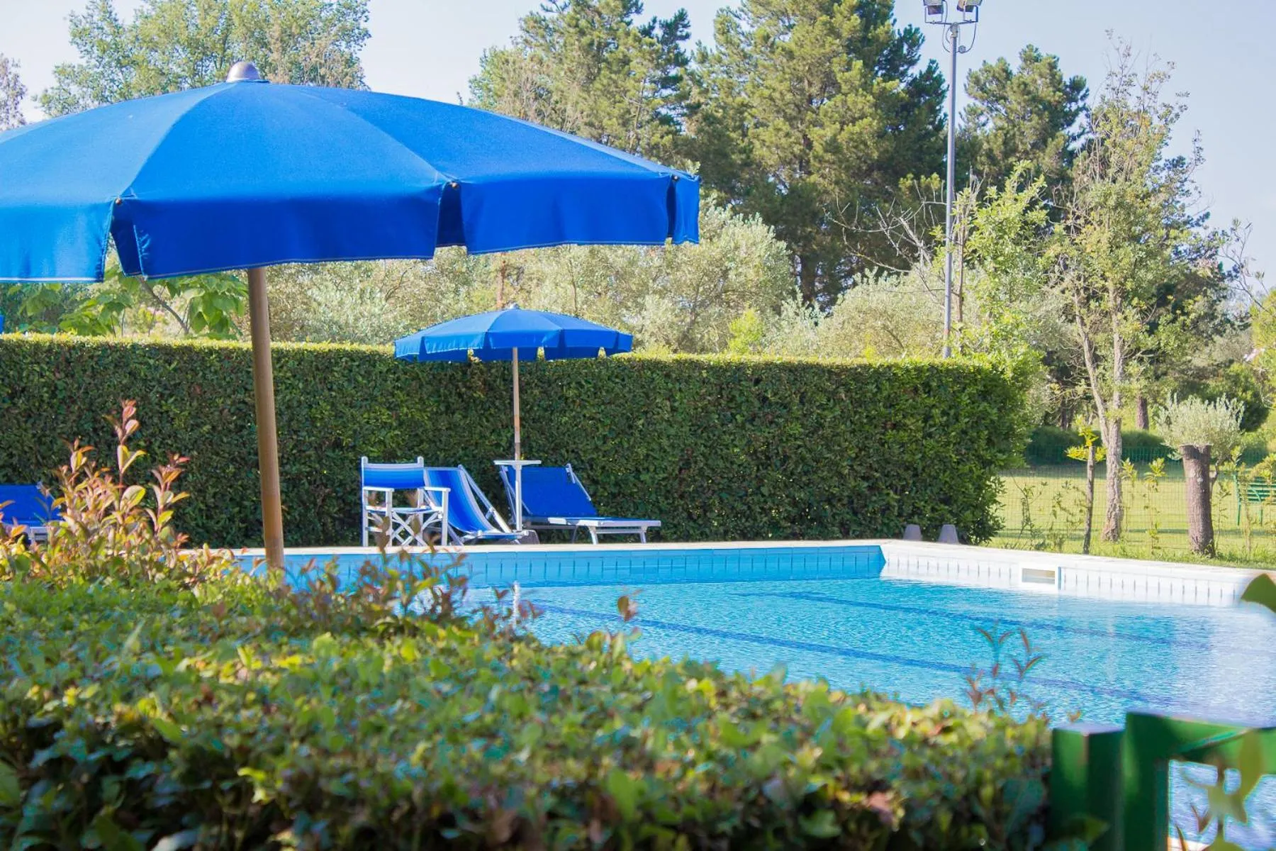 Garden in B&B Da Pio