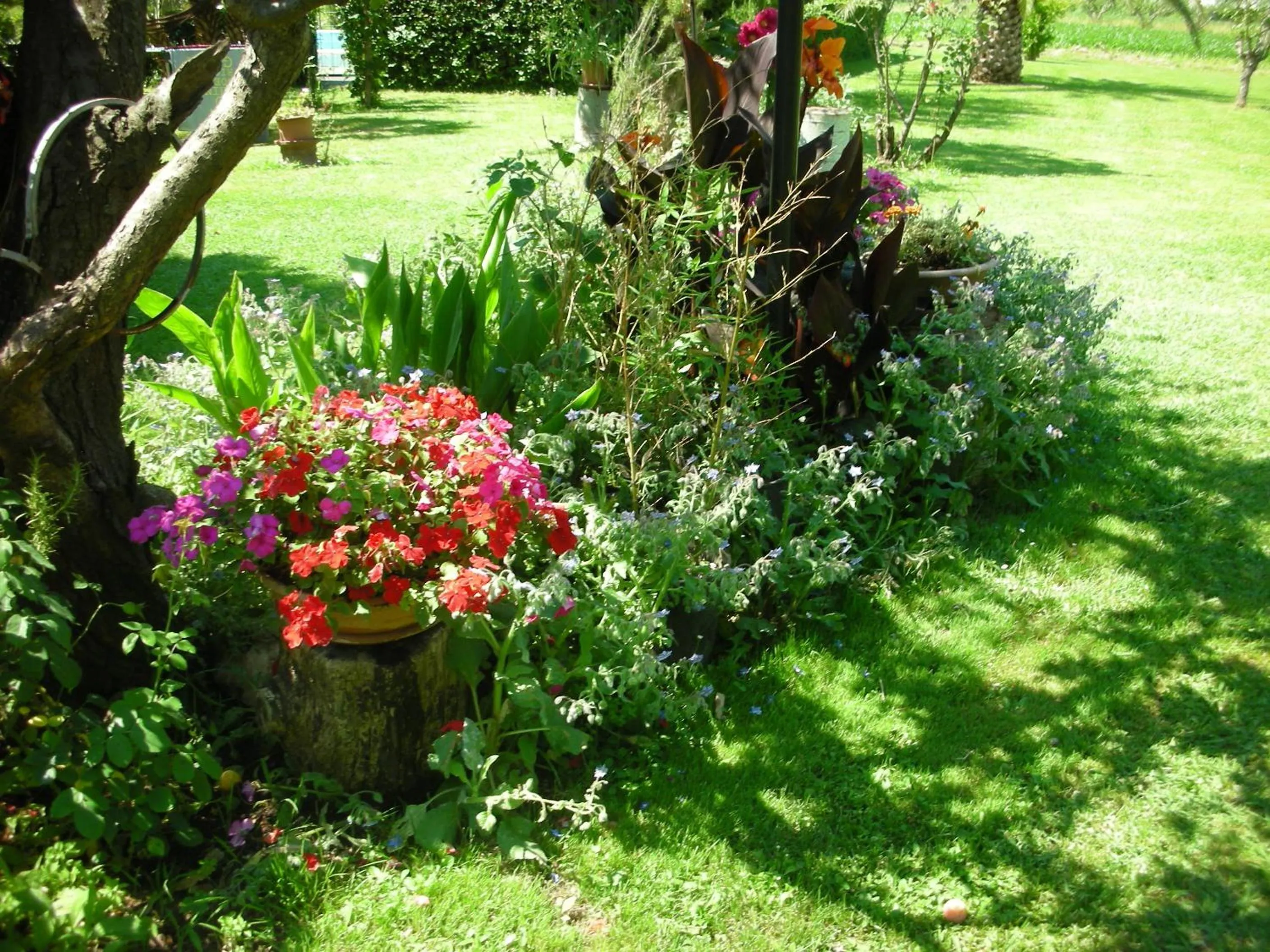 Decorative detail in B&B Da Pio