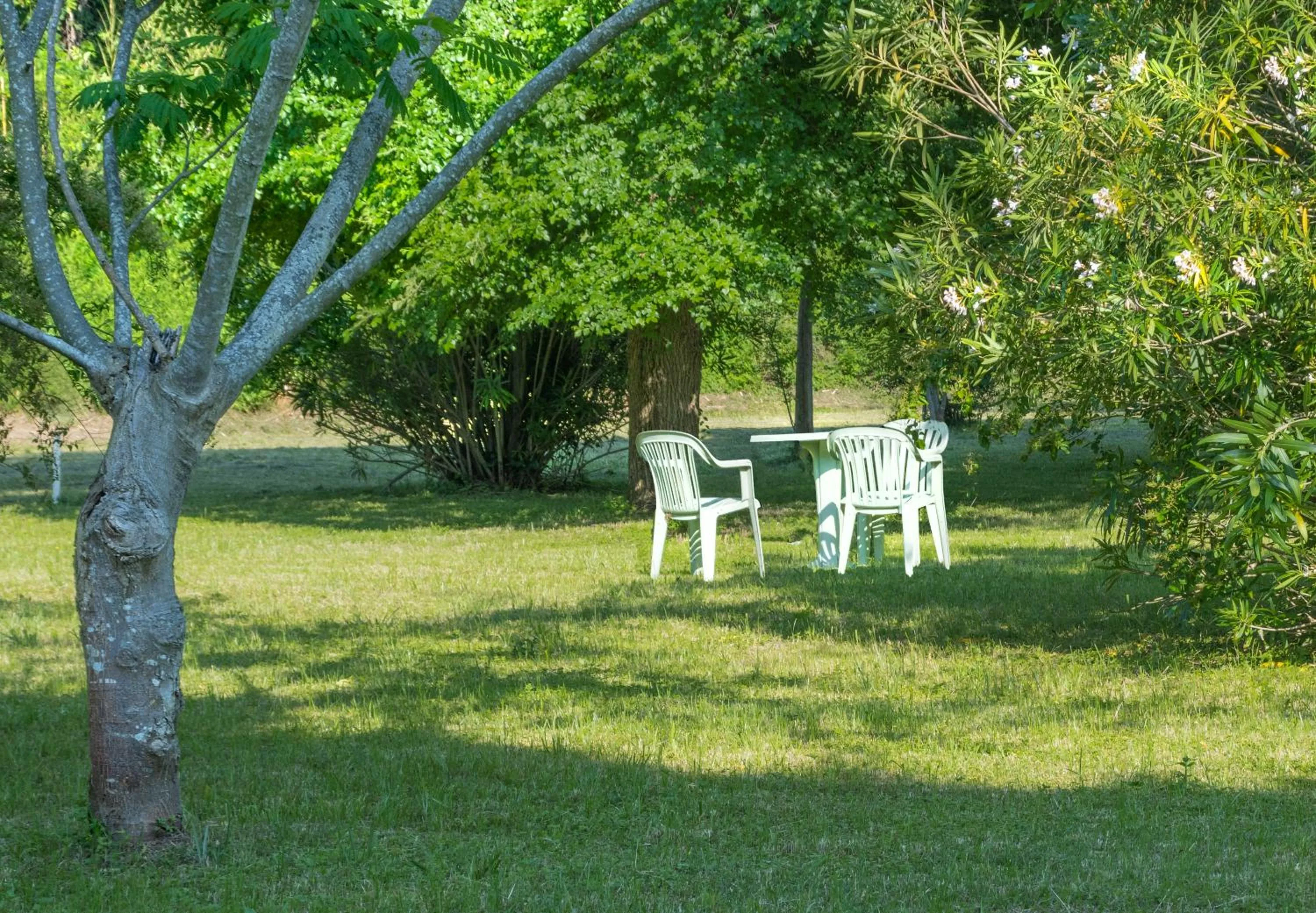Garden view in B&B Da Pio