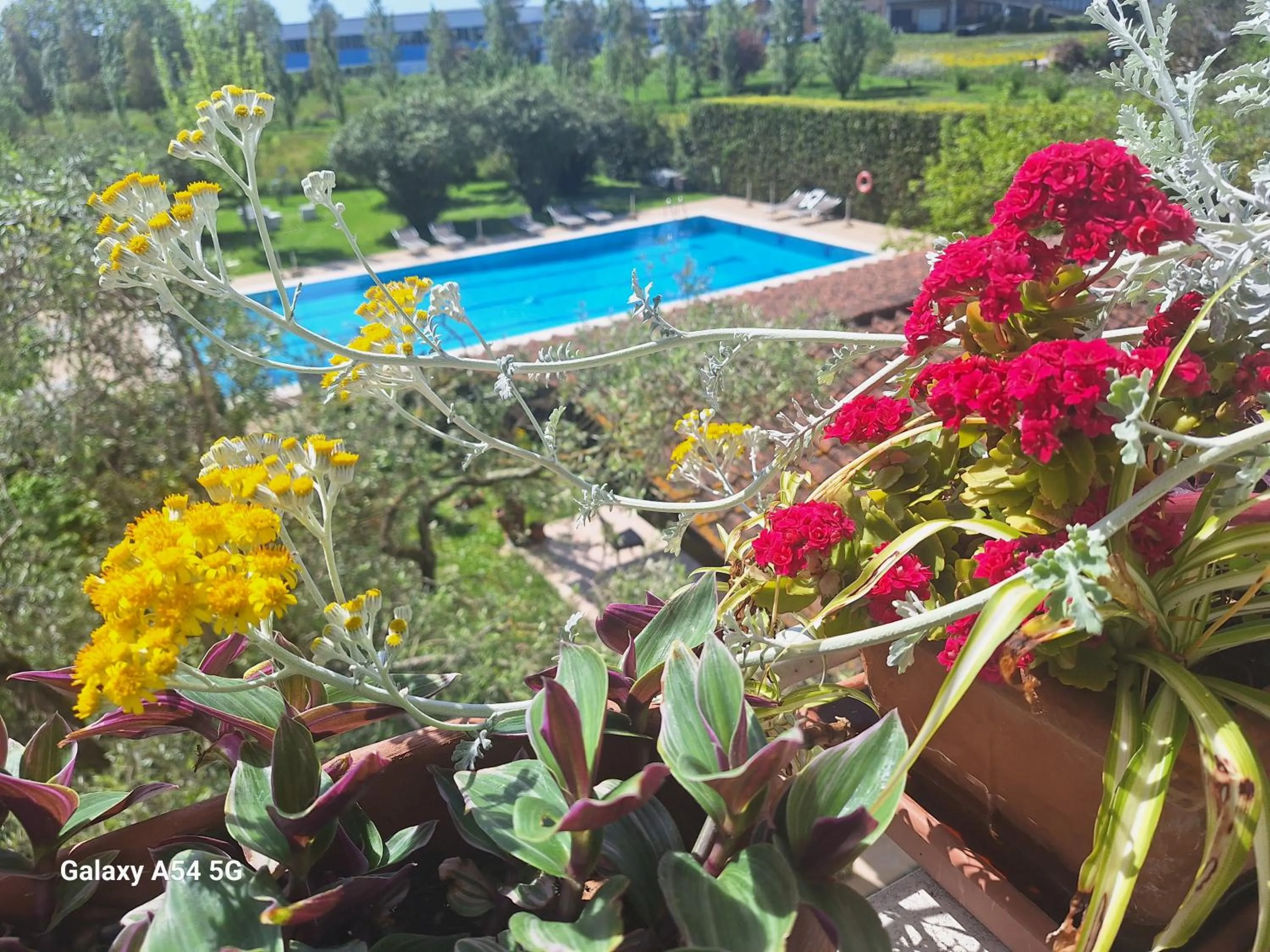 Garden view in B&B Da Pio