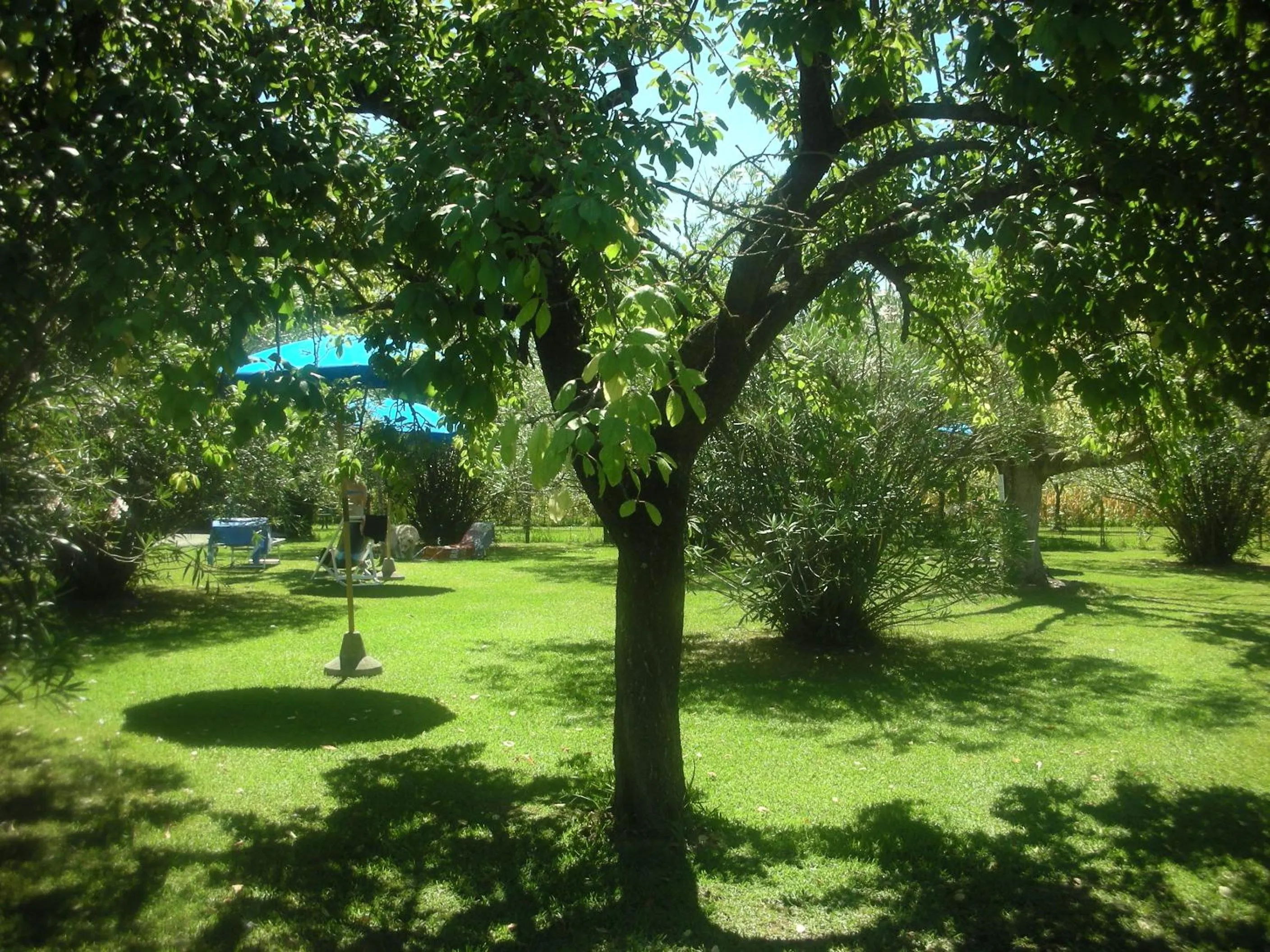 Garden in B&B Da Pio
