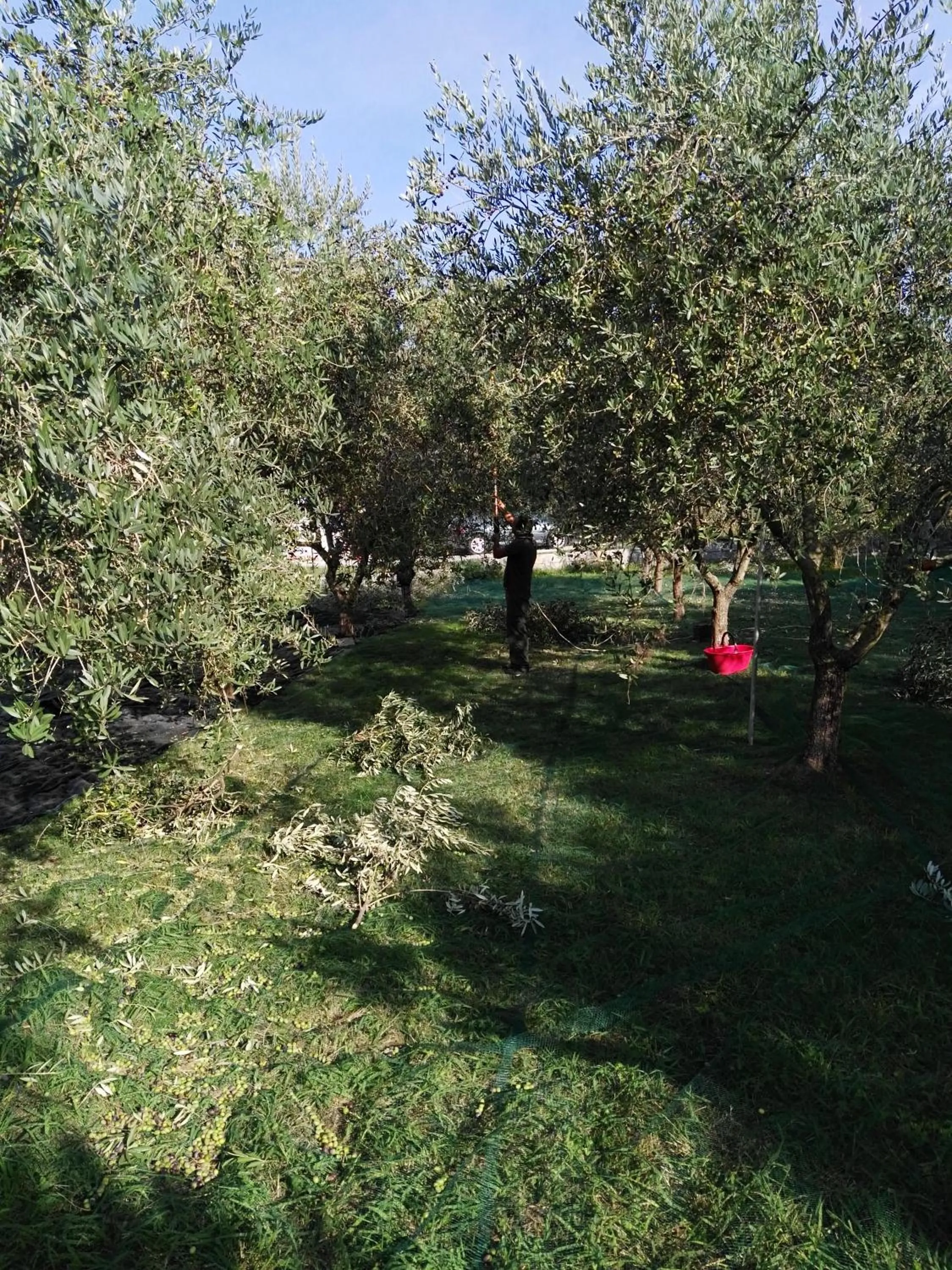 Garden view in B&B Da Pio