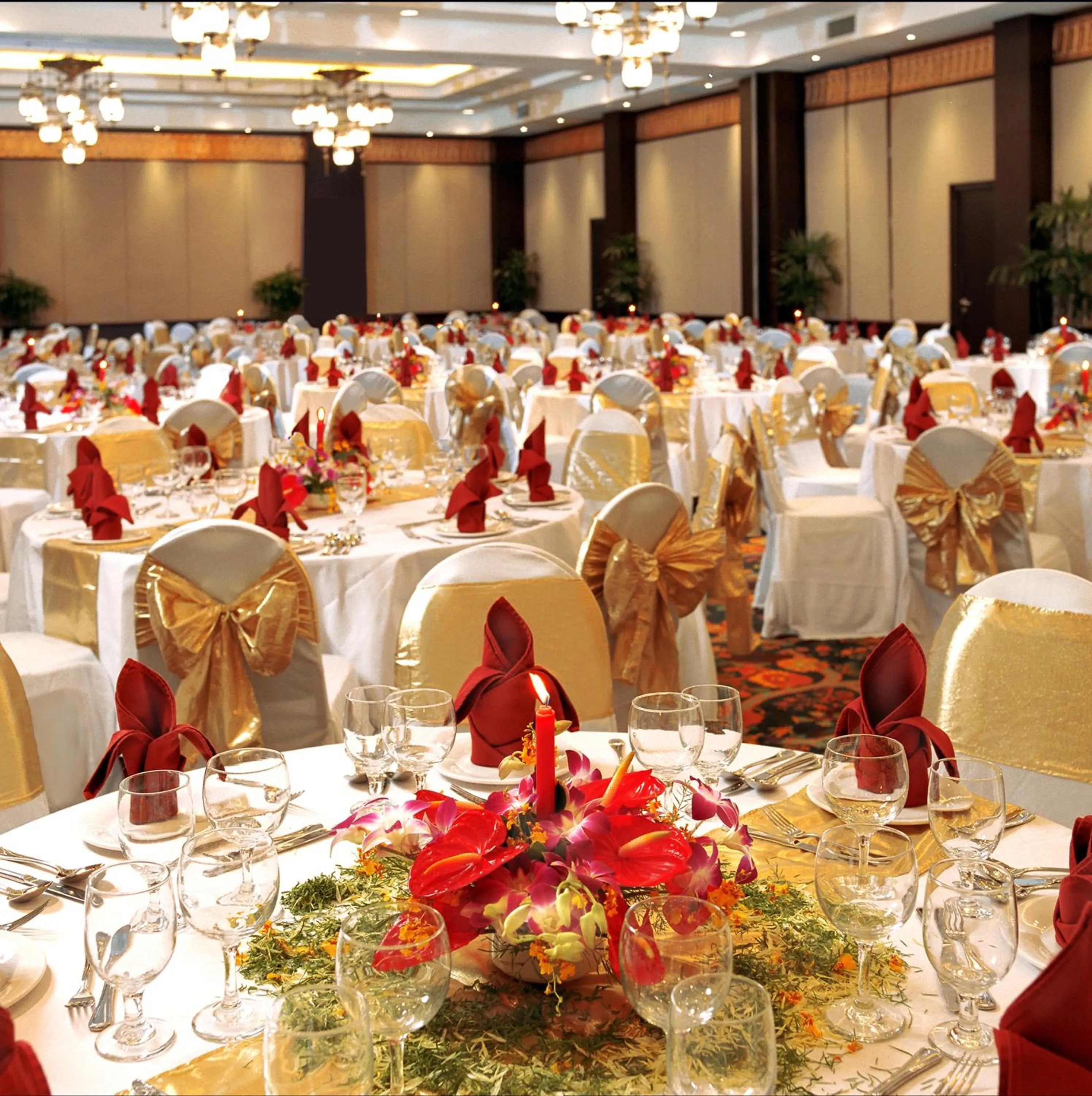 Banquet/Function facilities in The Phoenix Hotel Yogyakarta - Handwritten Collection