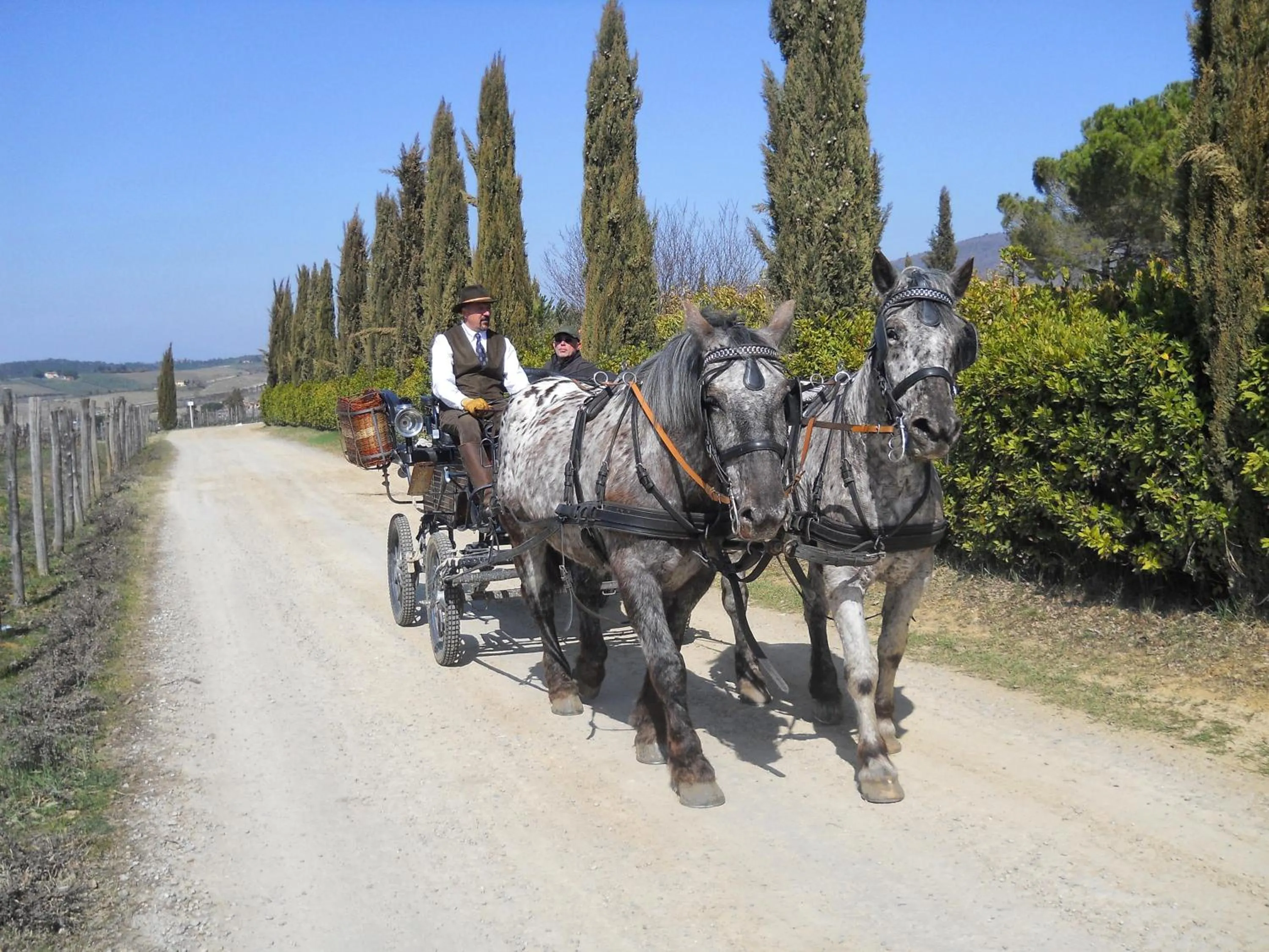 Day in Albergo Giovanni Da Verrazzano