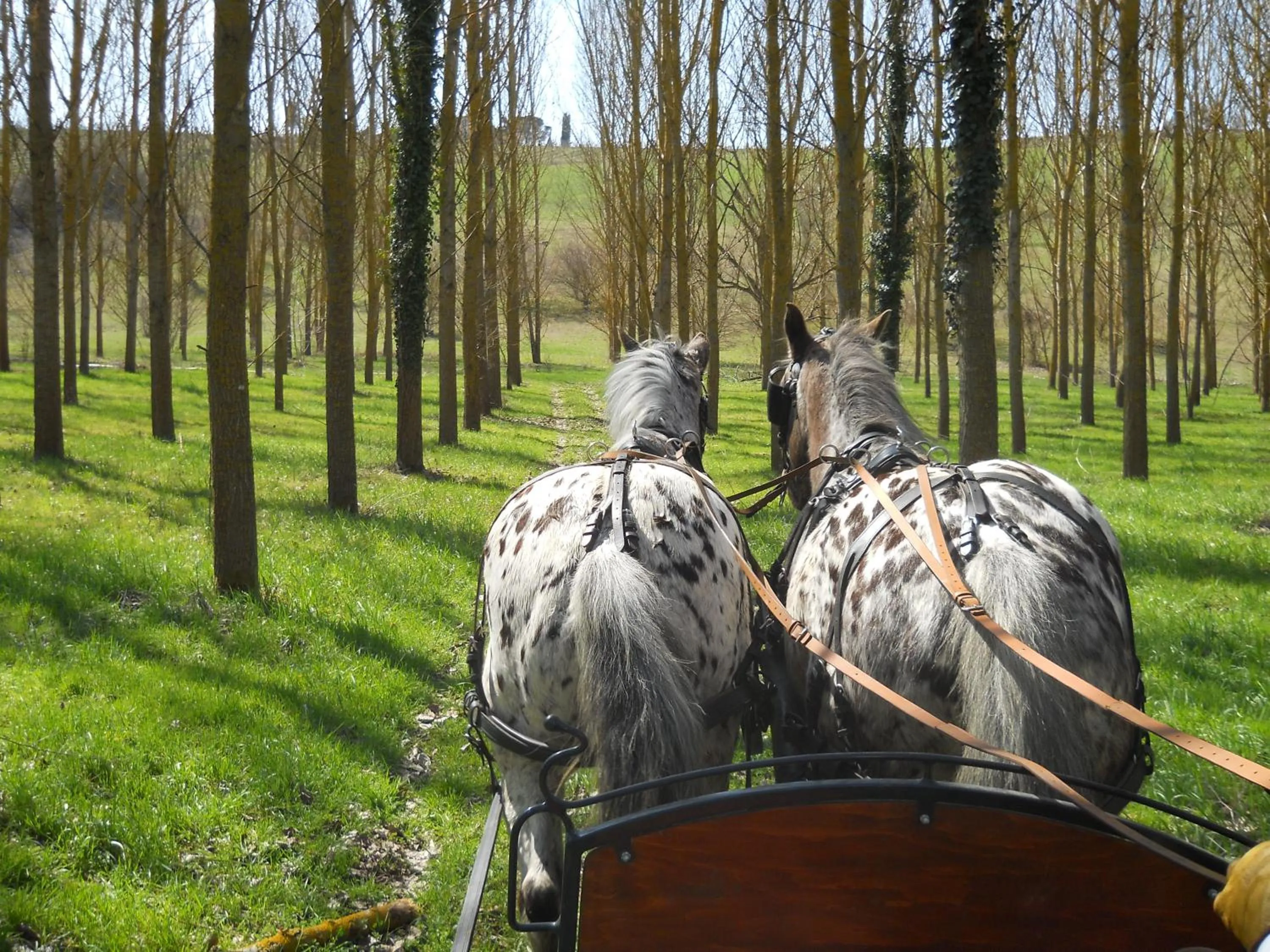 Day in Albergo Giovanni Da Verrazzano