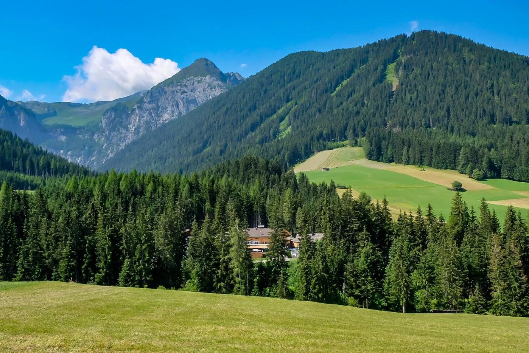 Bird's eye view in Die Waldruhe