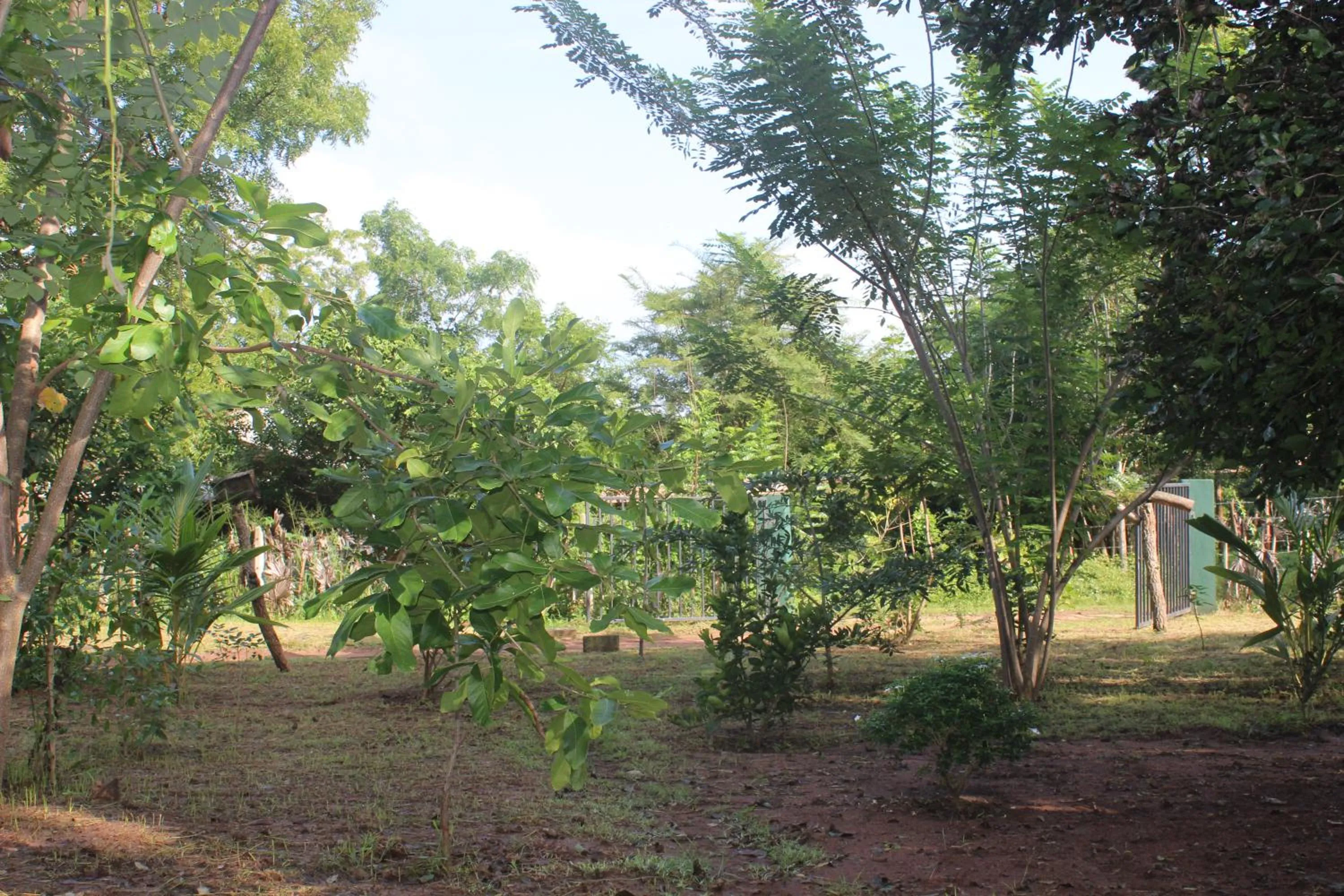 Wilpattu Holiday Home