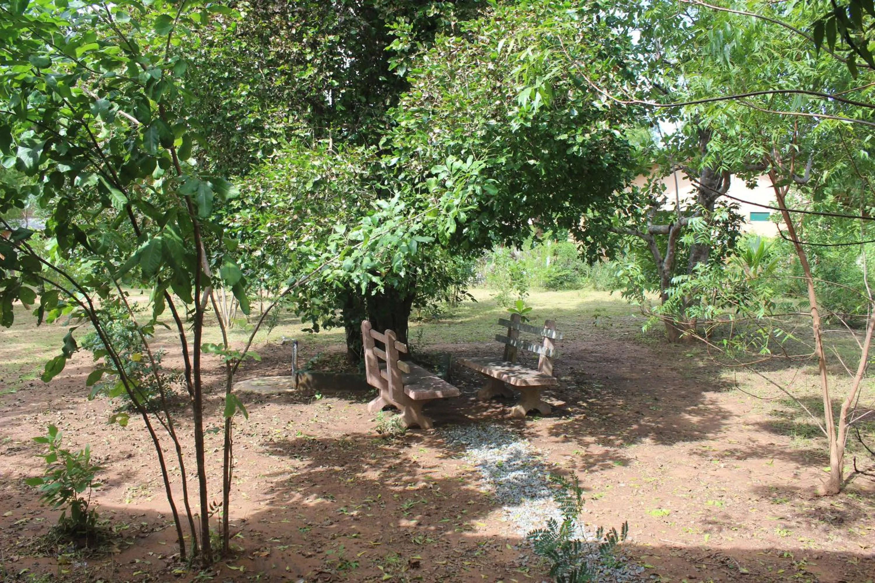 Wilpattu Holiday Home