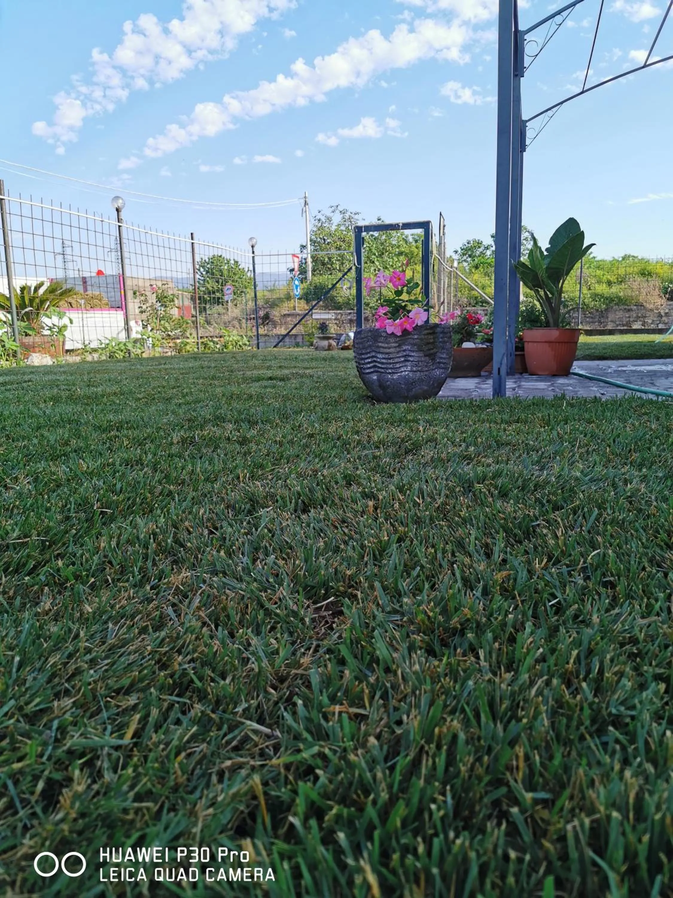 Garden in Bed And Breakfast "ANNA"