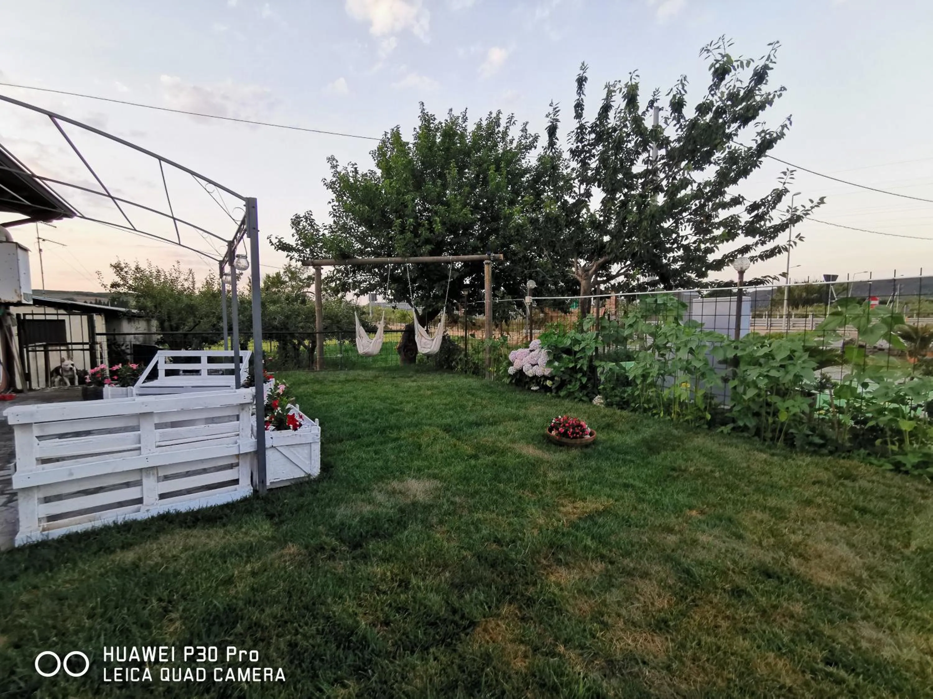 Garden in Bed And Breakfast "ANNA"