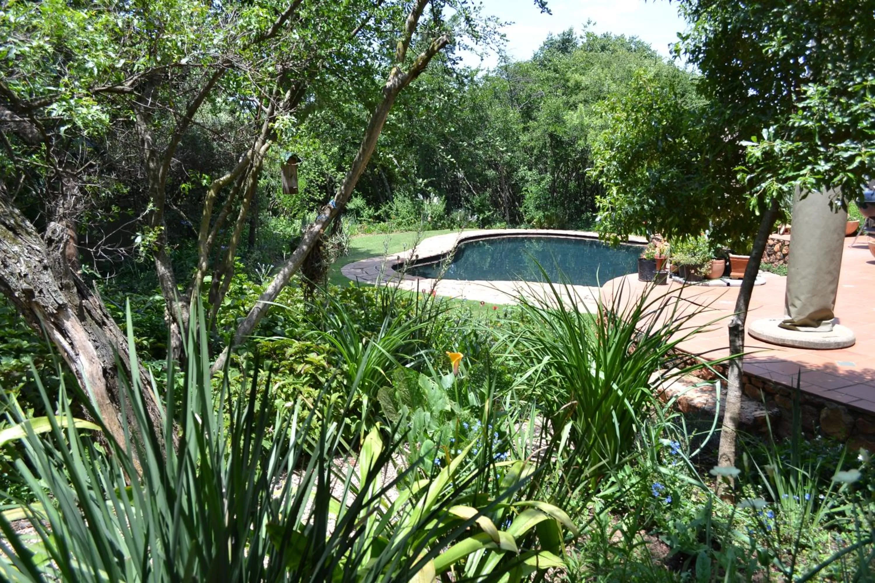 Garden in Lydall Wild Tranquil Garden Suites