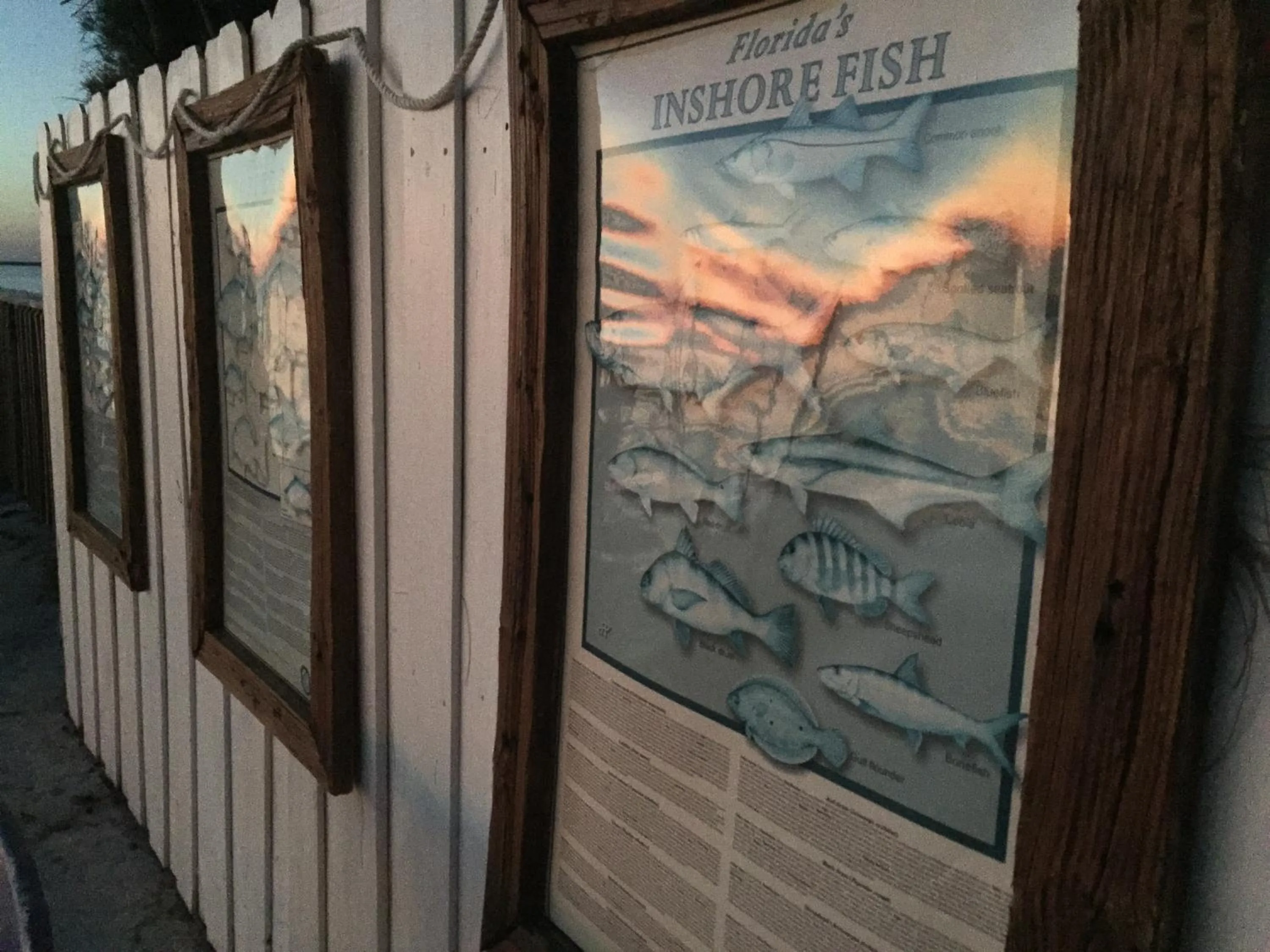 Area and facilities in Seafarer Key Largo Resort and Beach