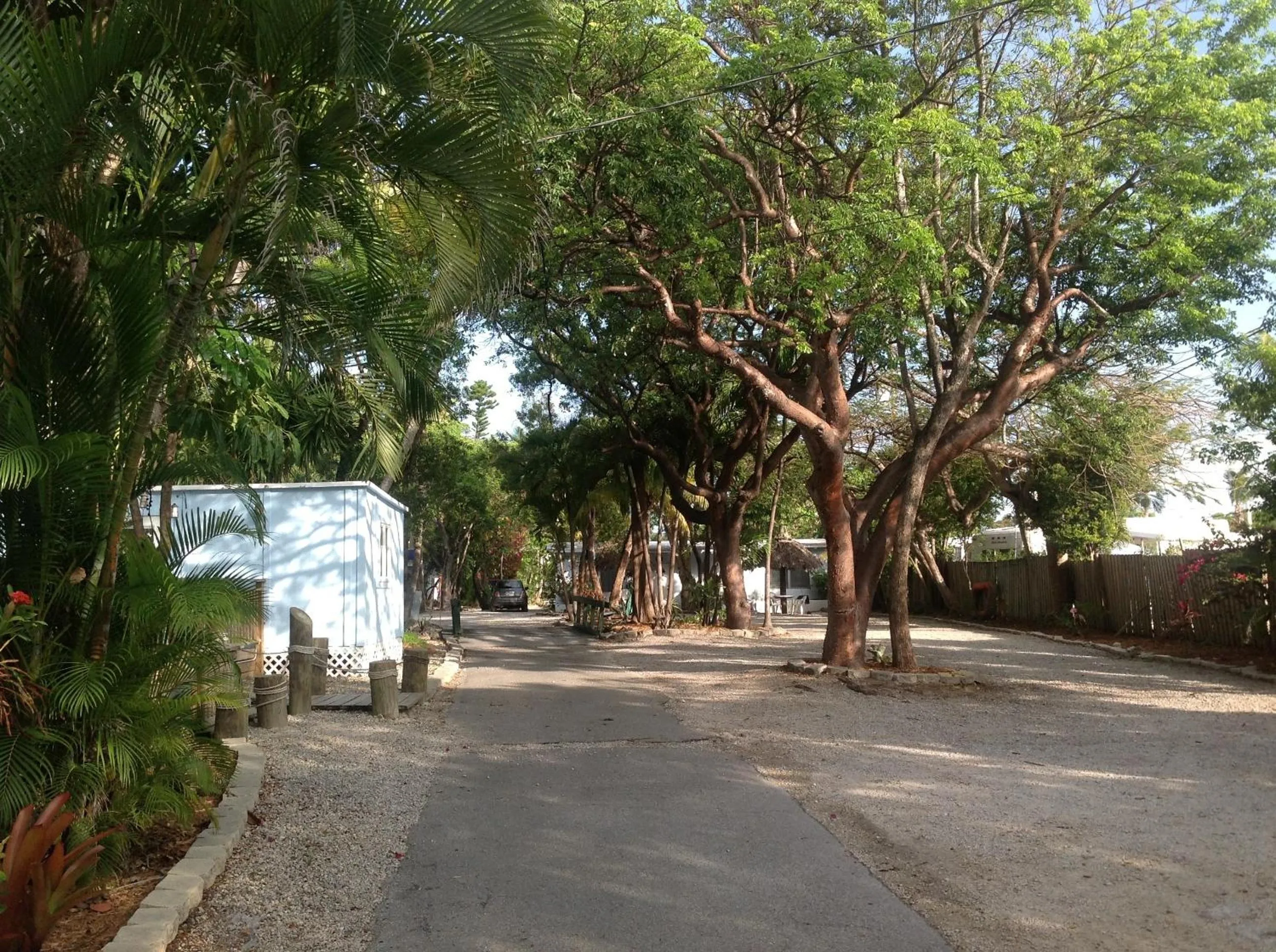 Area and facilities in Seafarer Key Largo Resort and Beach