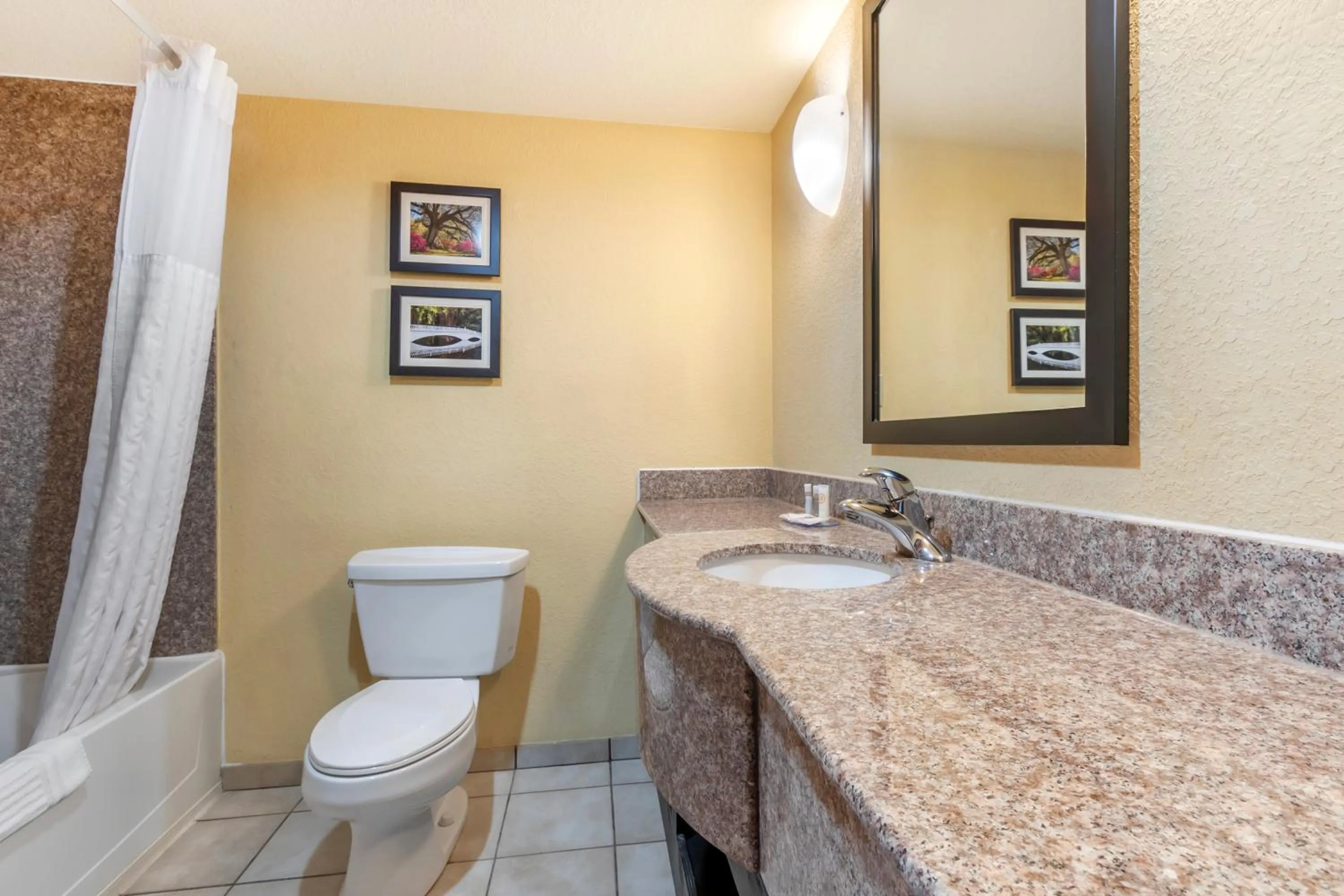 Bathroom in Comfort Inn & Suites Charleston Airport Convention Center