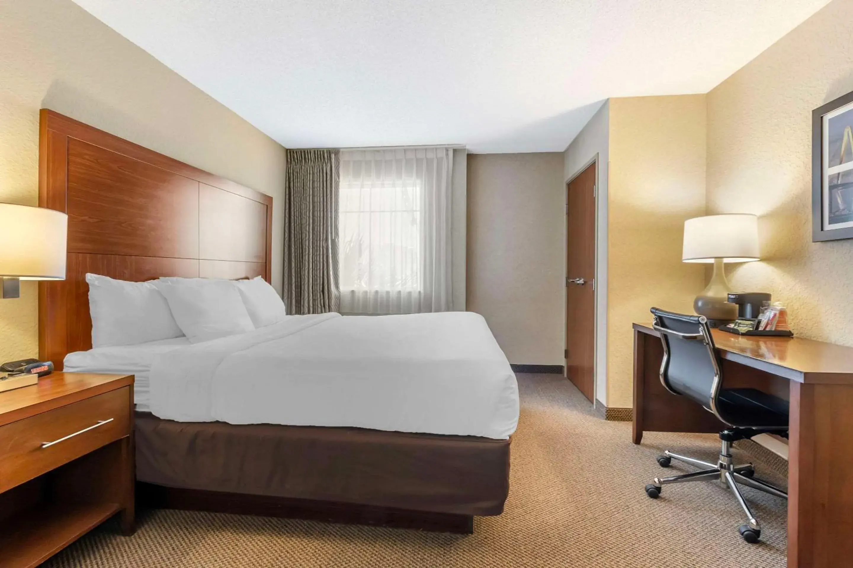 Bedroom, Bed in Comfort Inn & Suites Charleston Airport Convention Center Bedroom, Bed in Comfort Inn & Suites Charleston Airport Convention Center