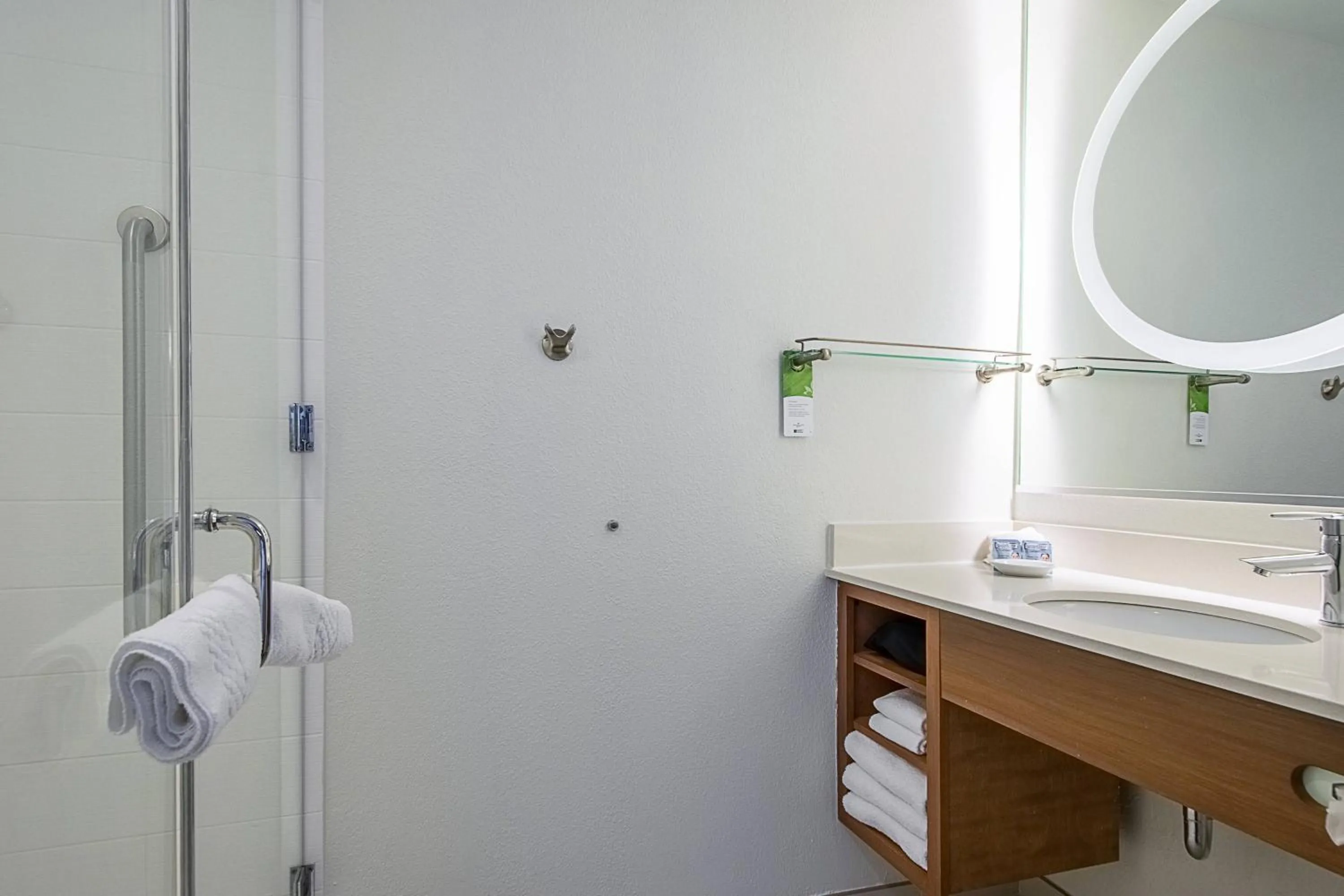 Bathroom in SpringHill Suites Tampa North/Tampa Palms