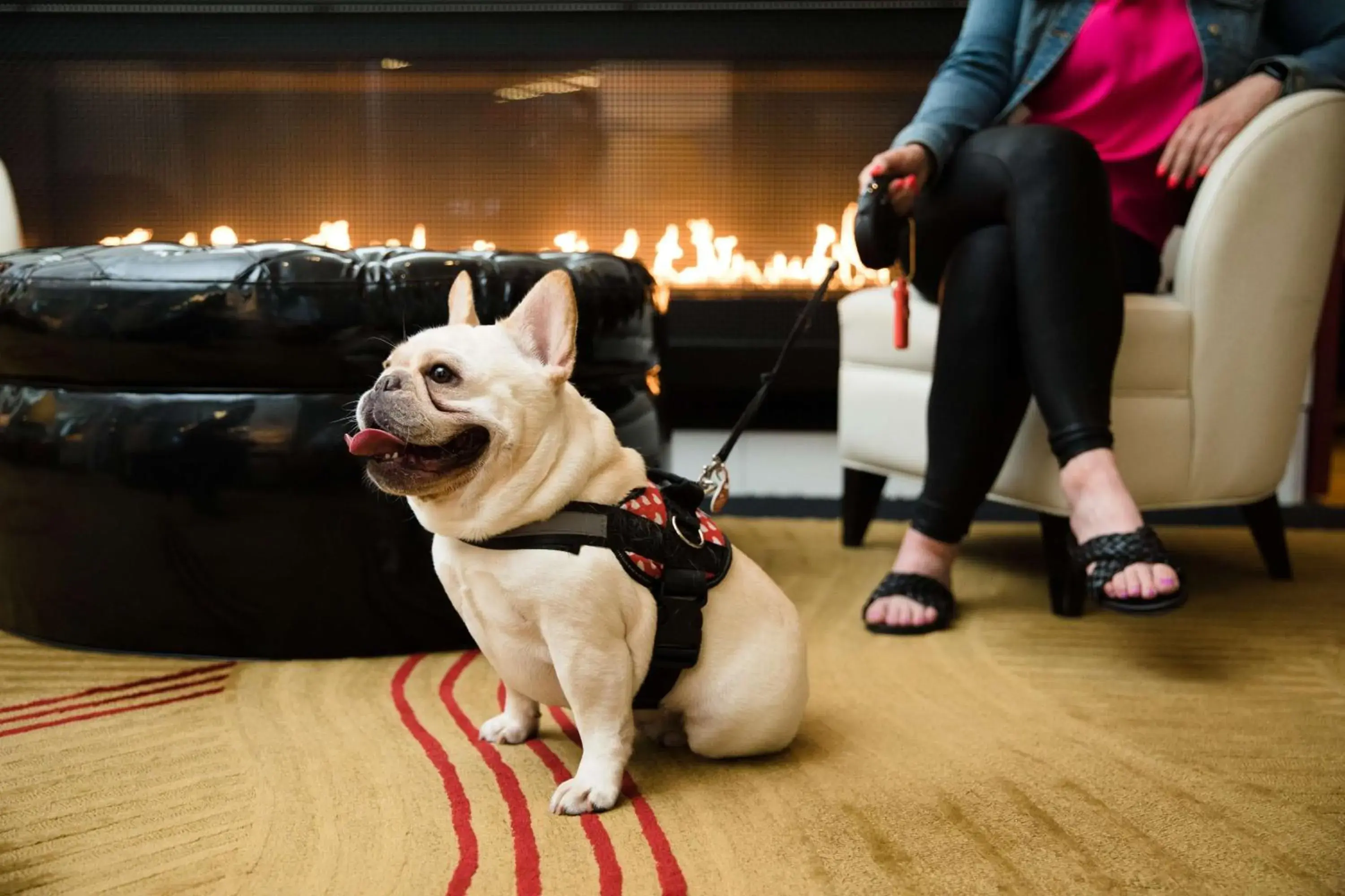 Lobby or reception in The Royal Sonesta Chicago River North Lobby or reception in The Royal Sonesta Chicago River North
