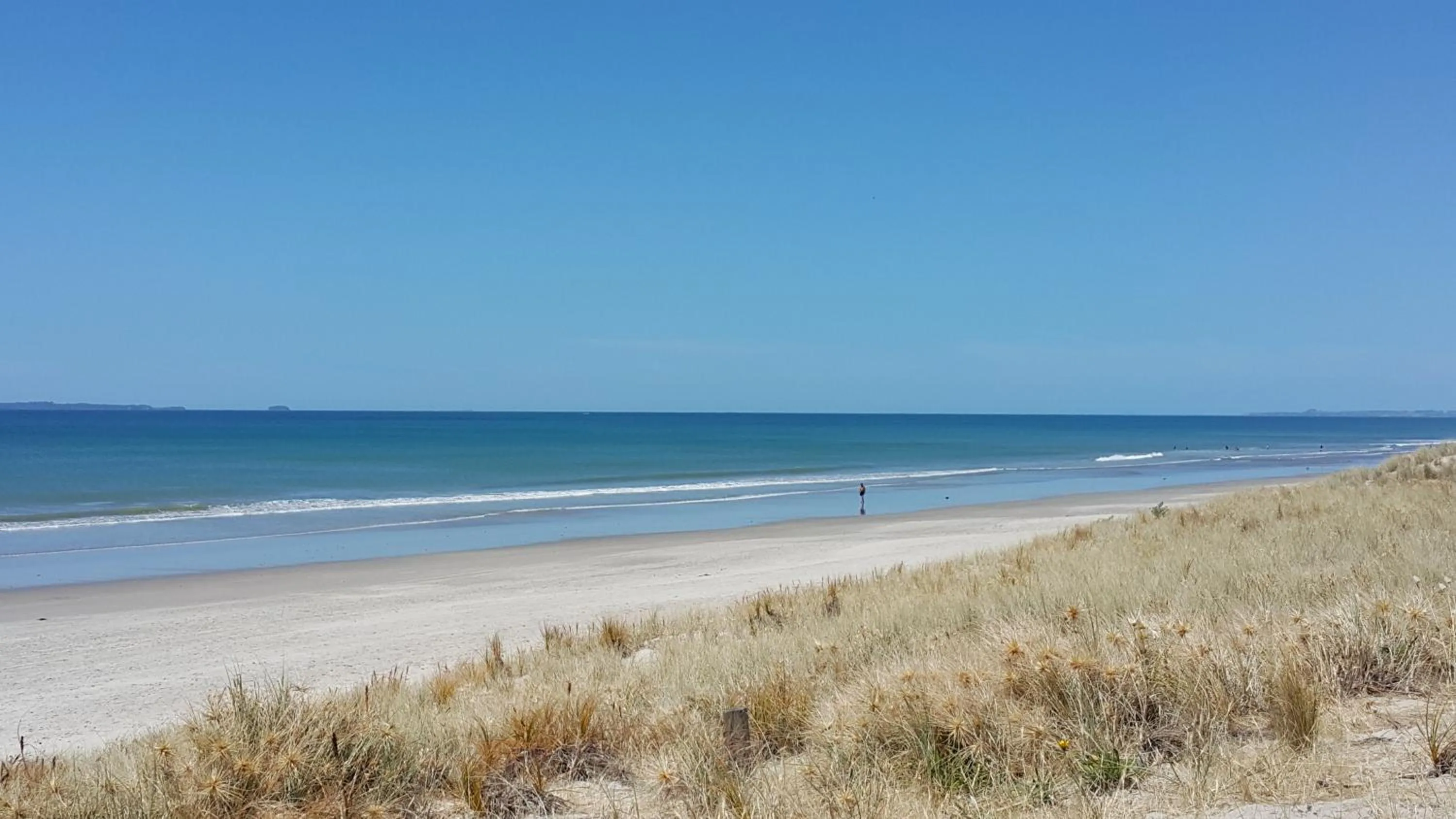 Certificate/Award in Bay Palm Motel