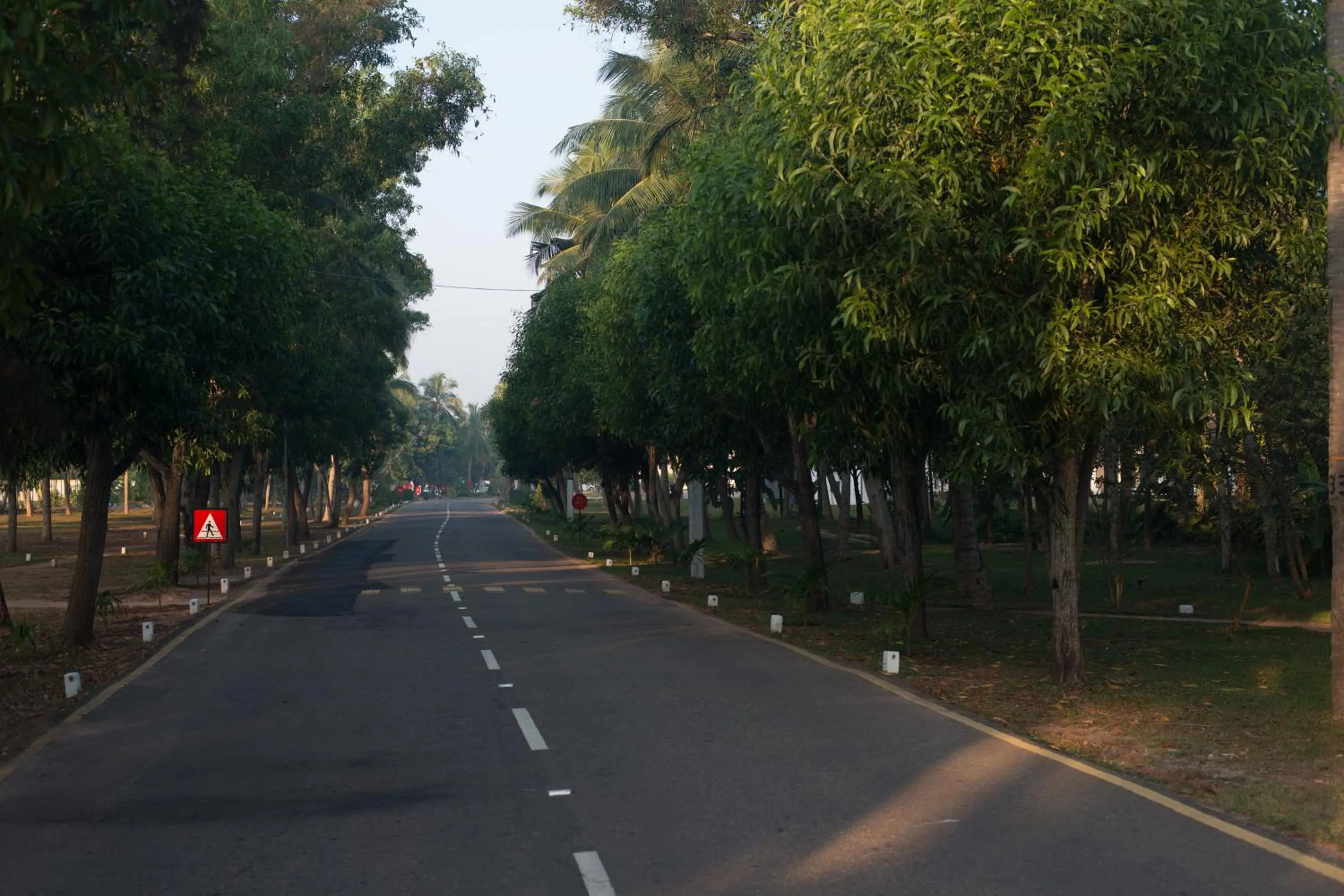 Garden in Vivanta Colombo, Airport Garden