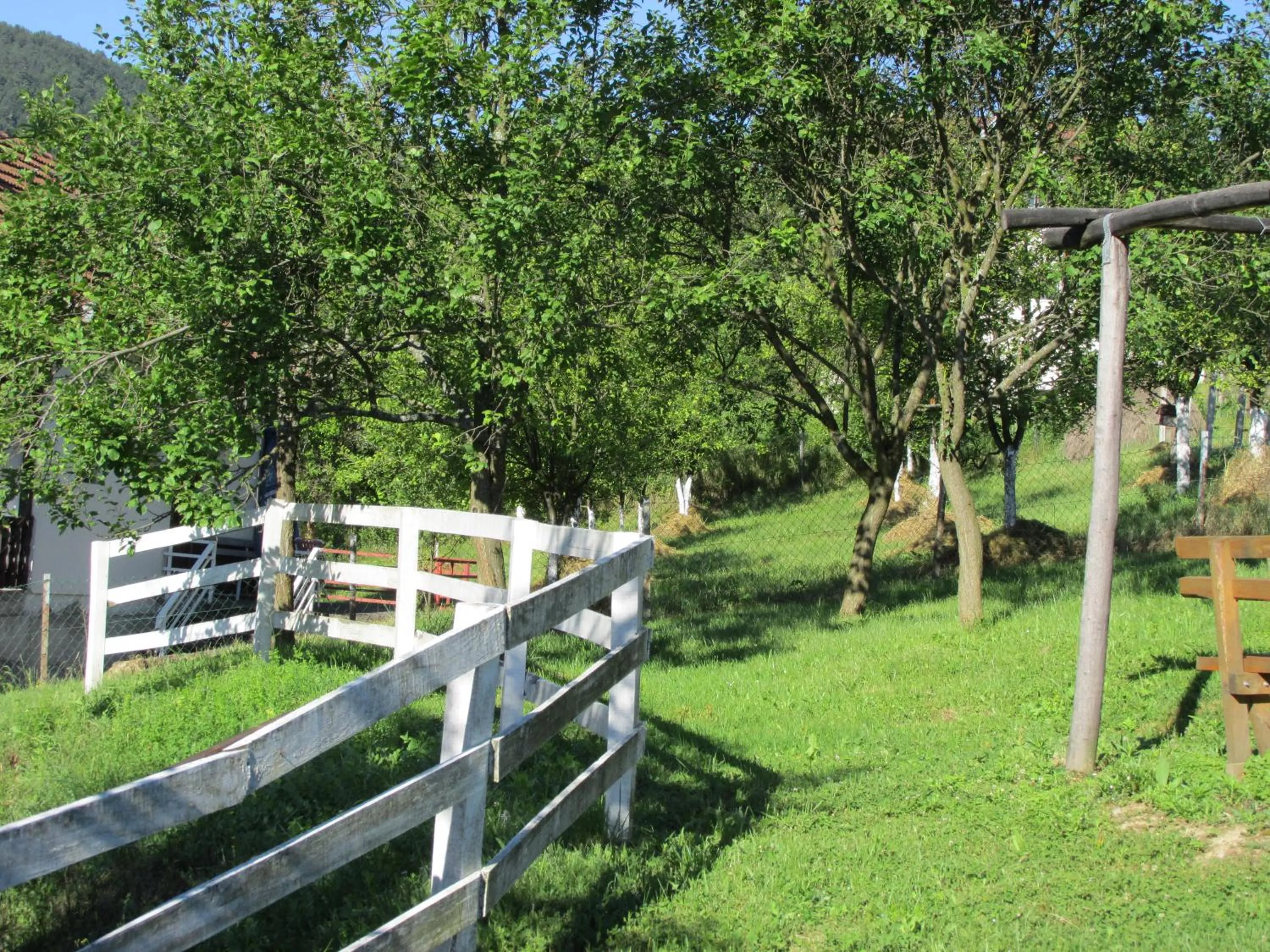 Neighbourhood in Country House Roman