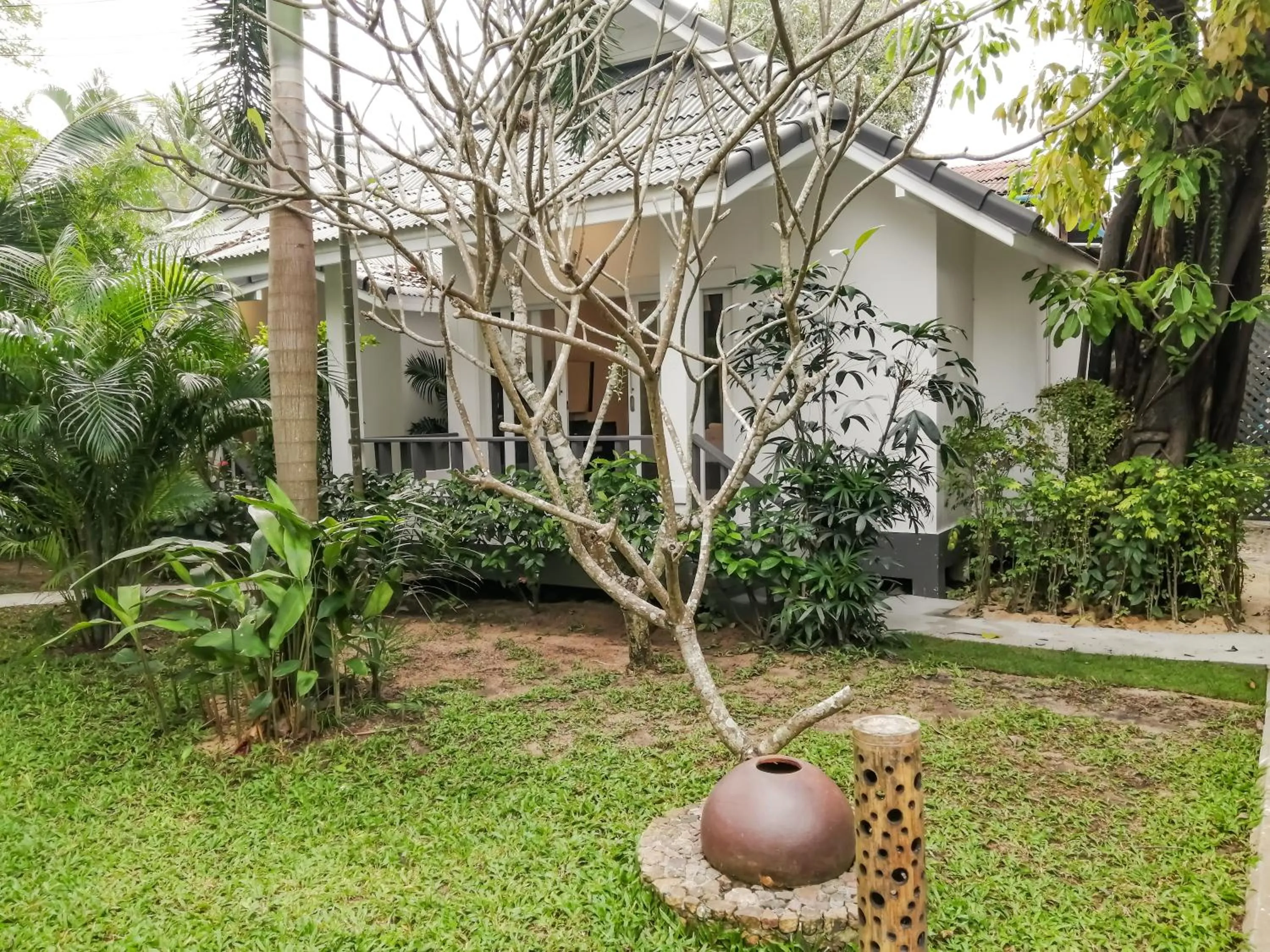 Garden in The Cosy Maenam Beach Resort