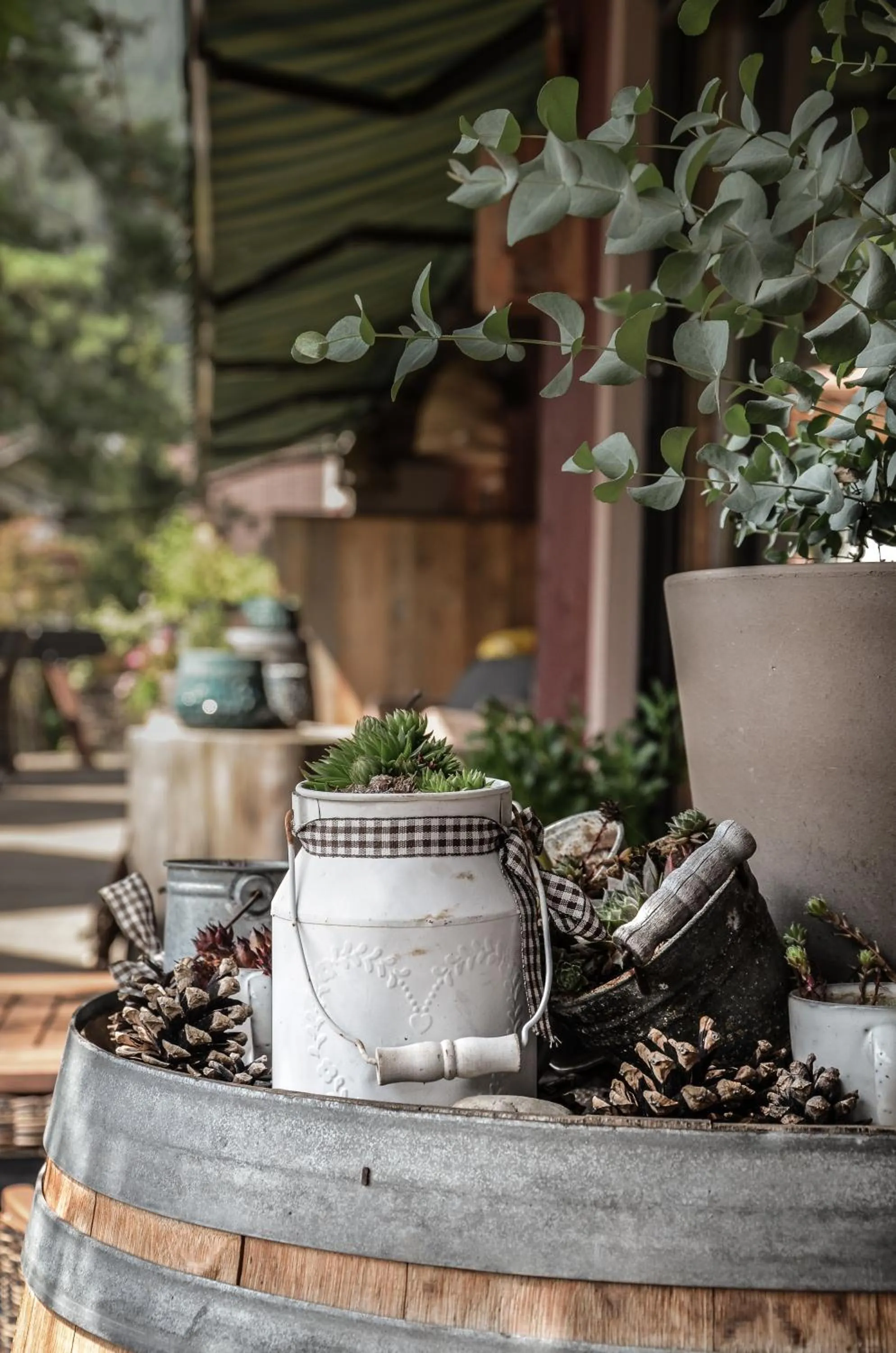 Balcony/Terrace in Hotel Ehrwalderhof
