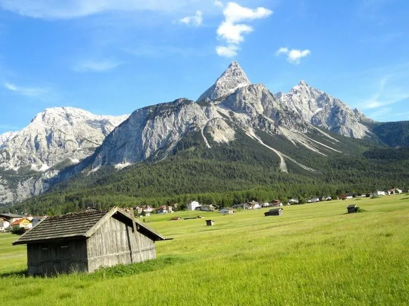 View (from property/room) in Hotel Ehrwalderhof