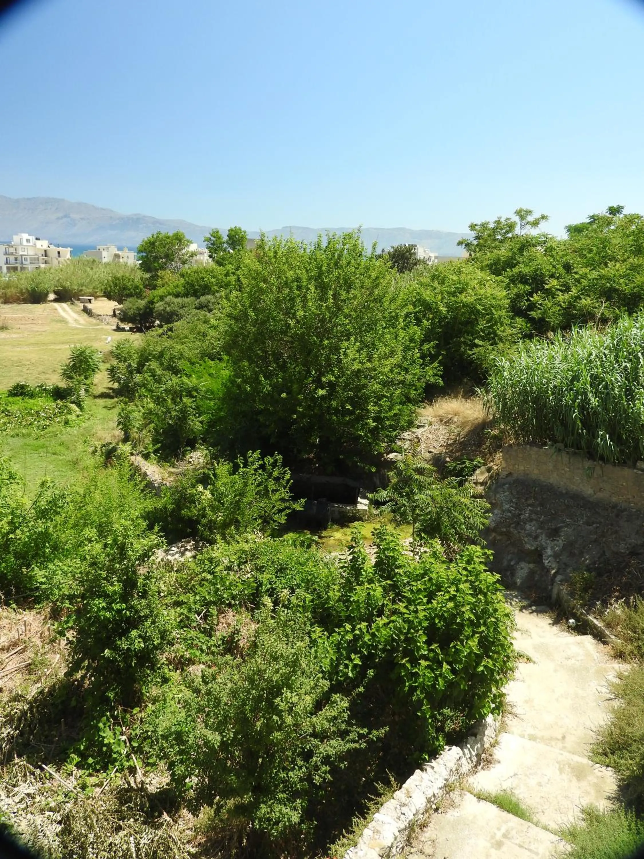 Bikakis Family Apartments