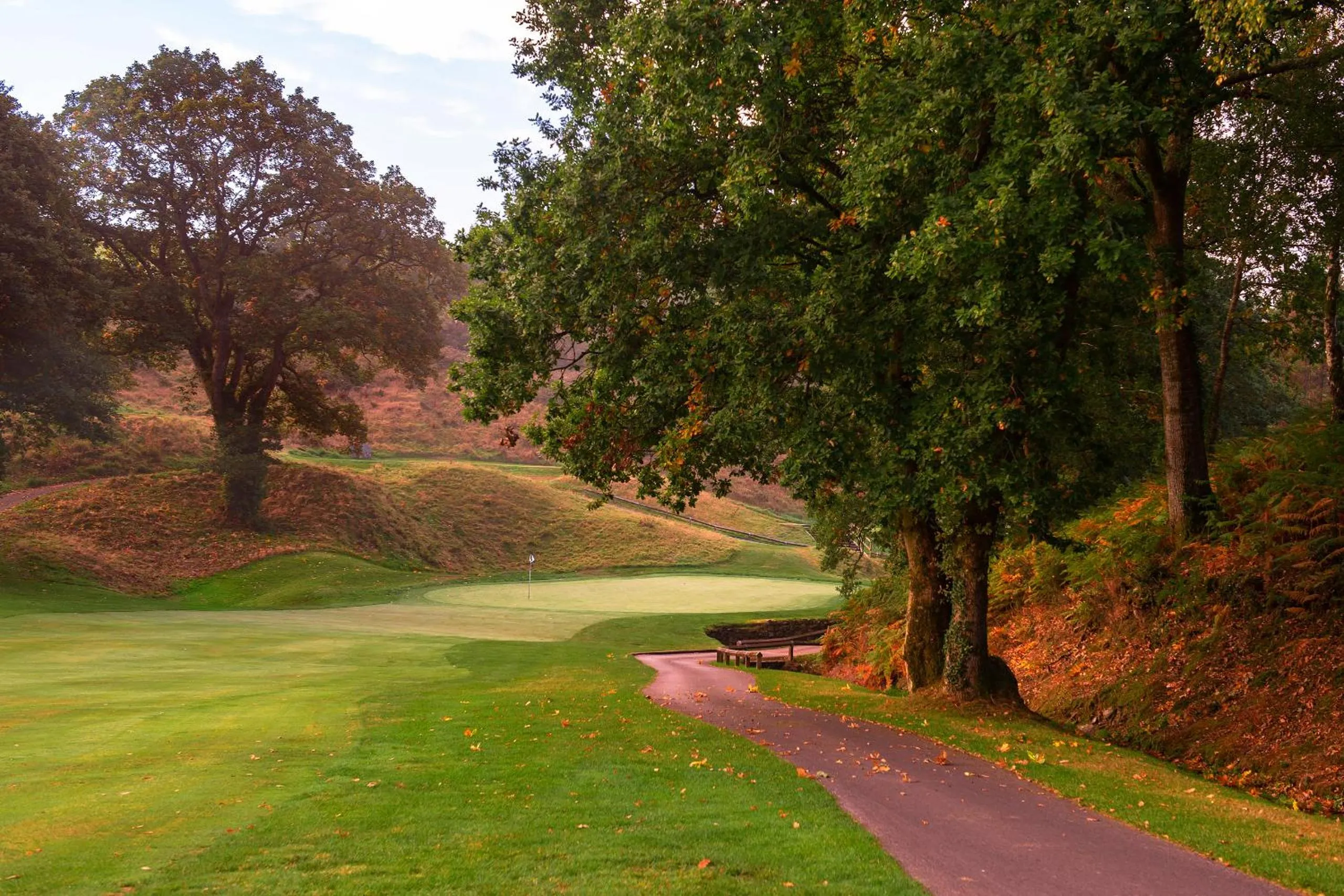 Garden in St Mellion Estate
