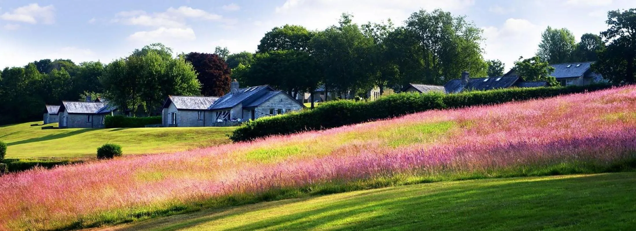 Natural landscape in St Mellion Estate