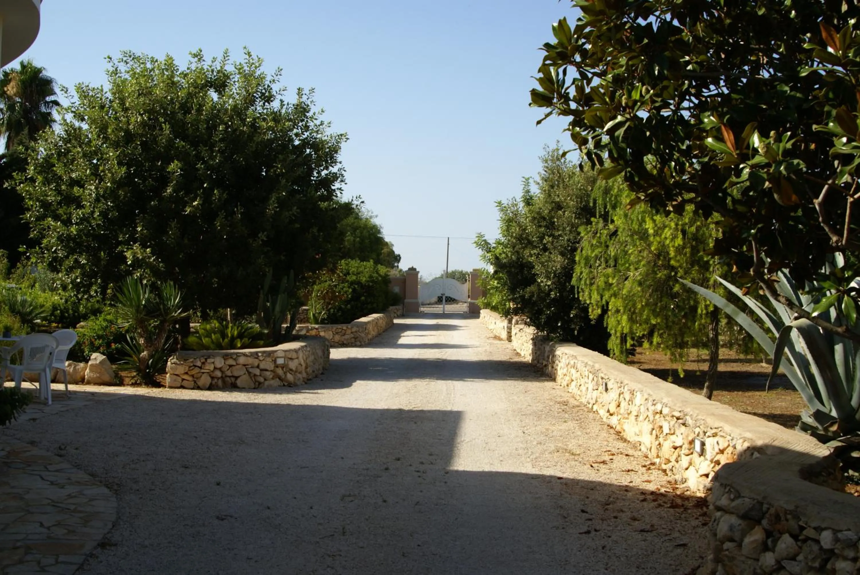 Garden in Tenuta Arate