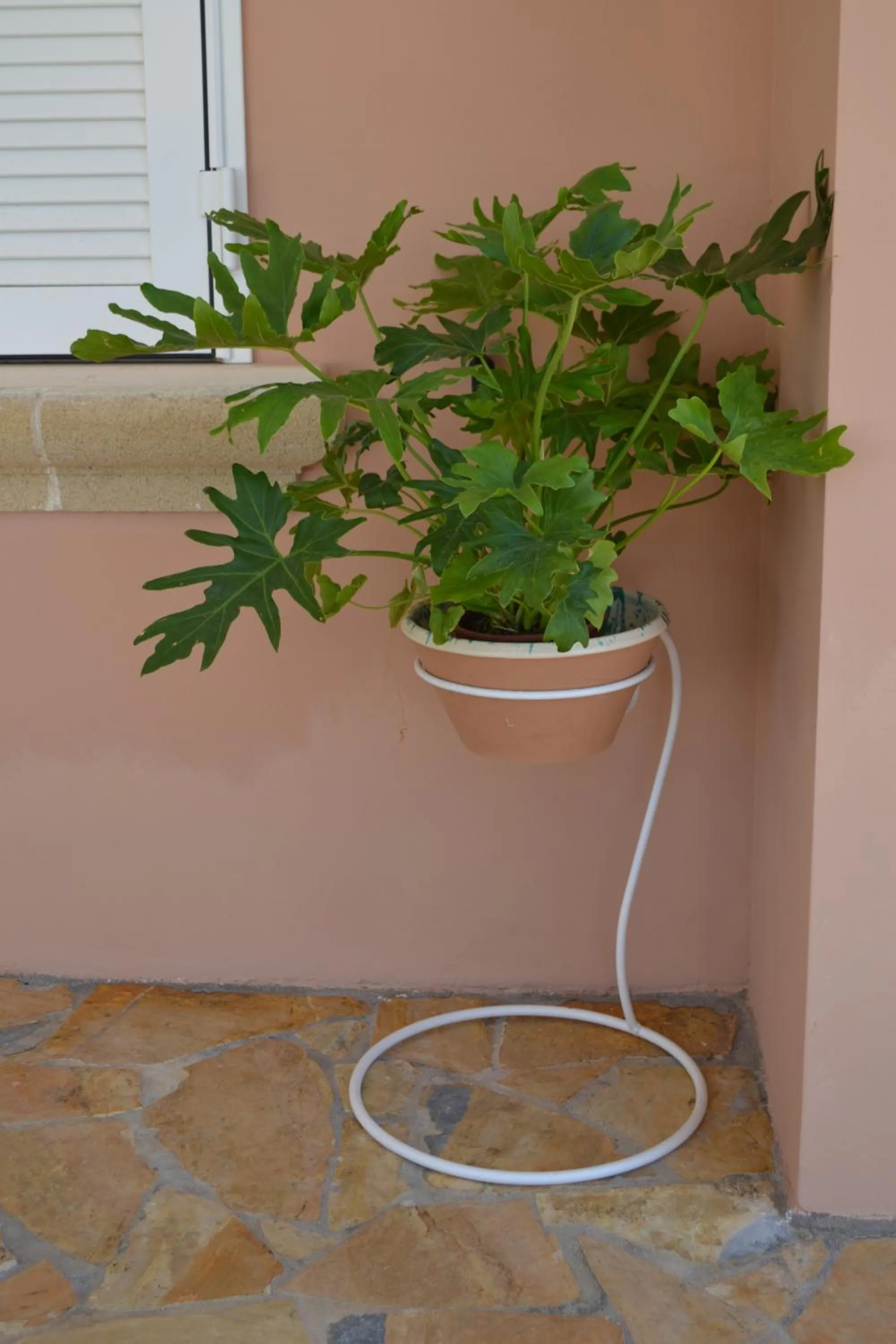 Floor plan in Tenuta Arate