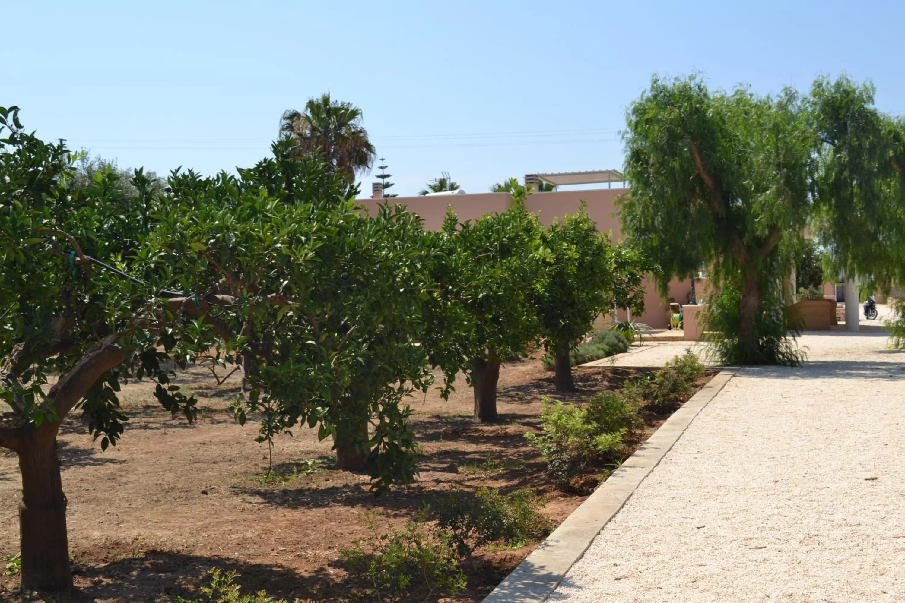 Garden in Tenuta Arate