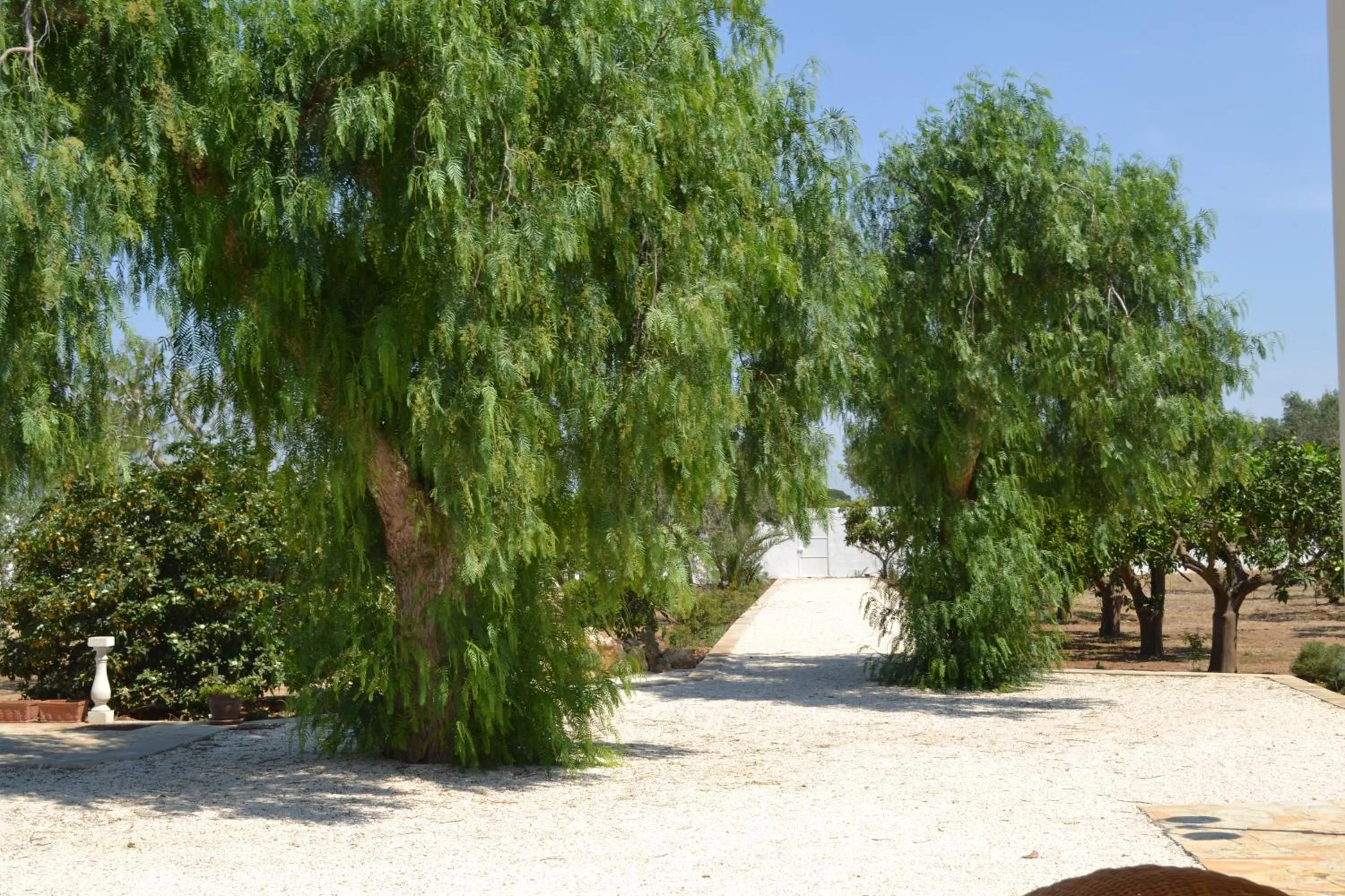 Garden in Tenuta Arate