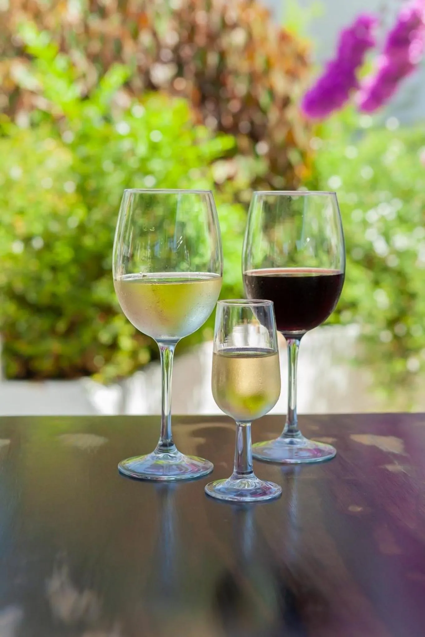 Drinks in Hotel Patricia