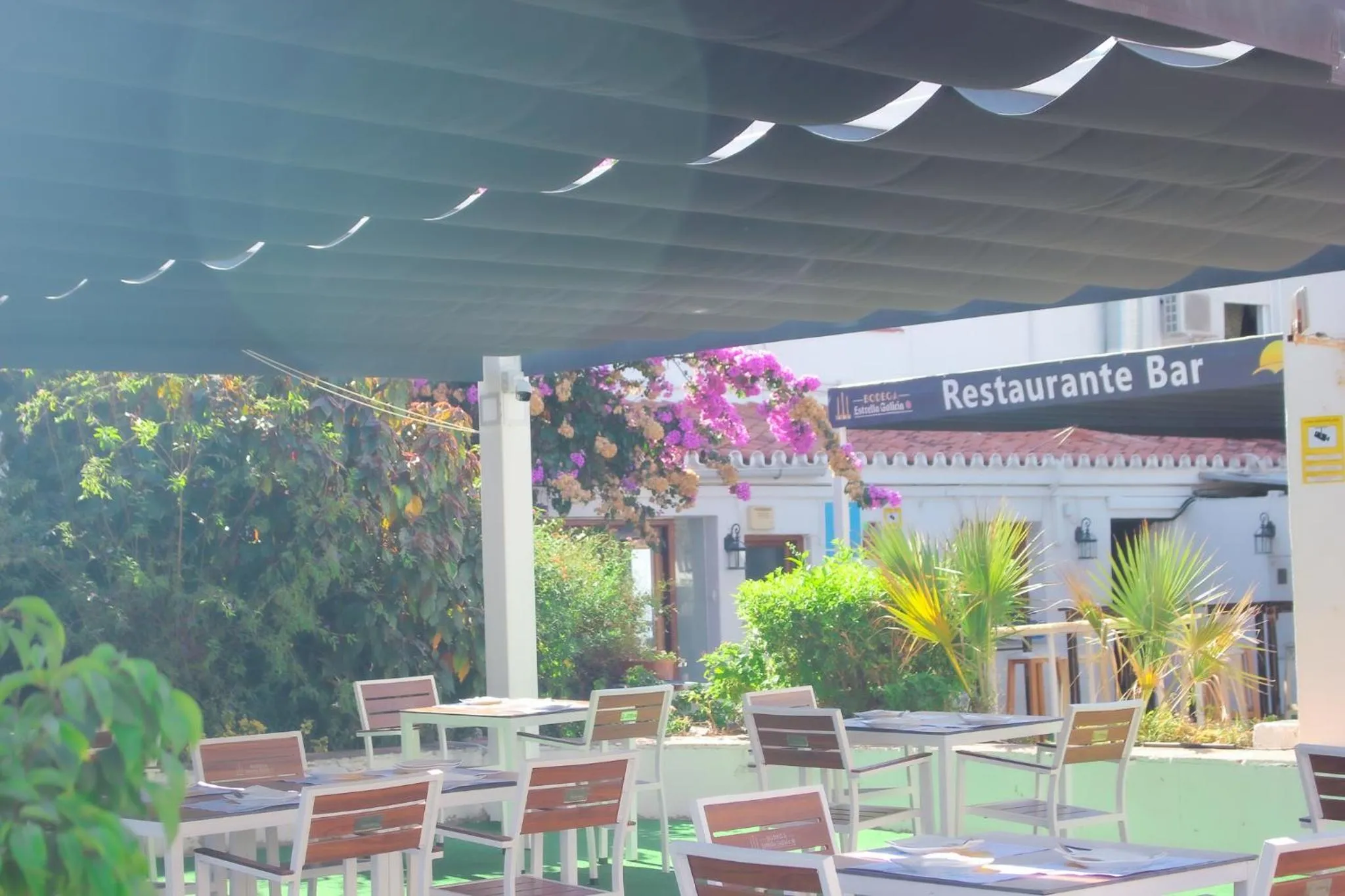 Restaurant/places to eat in Hotel Patricia