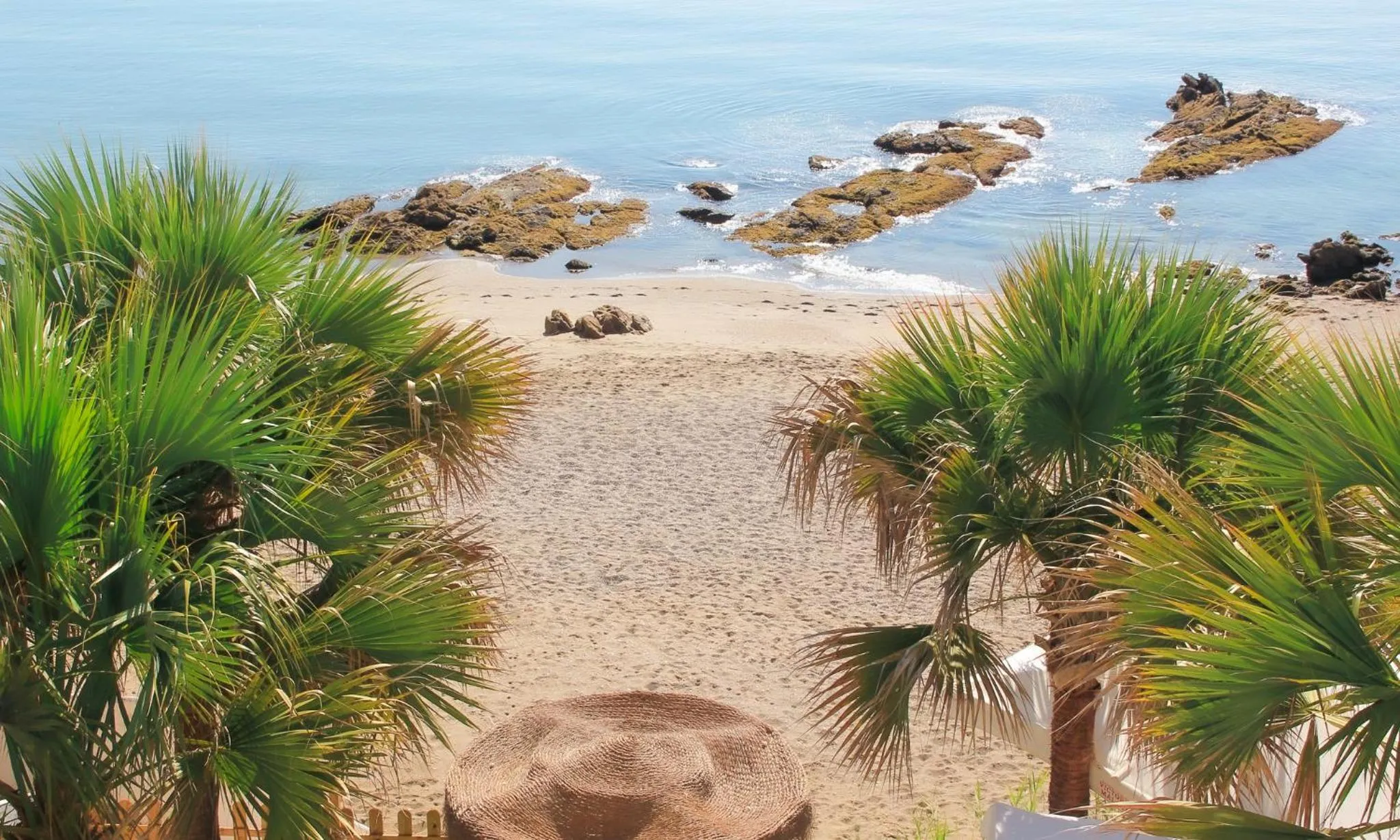 Lounge or bar in Hotel Patricia