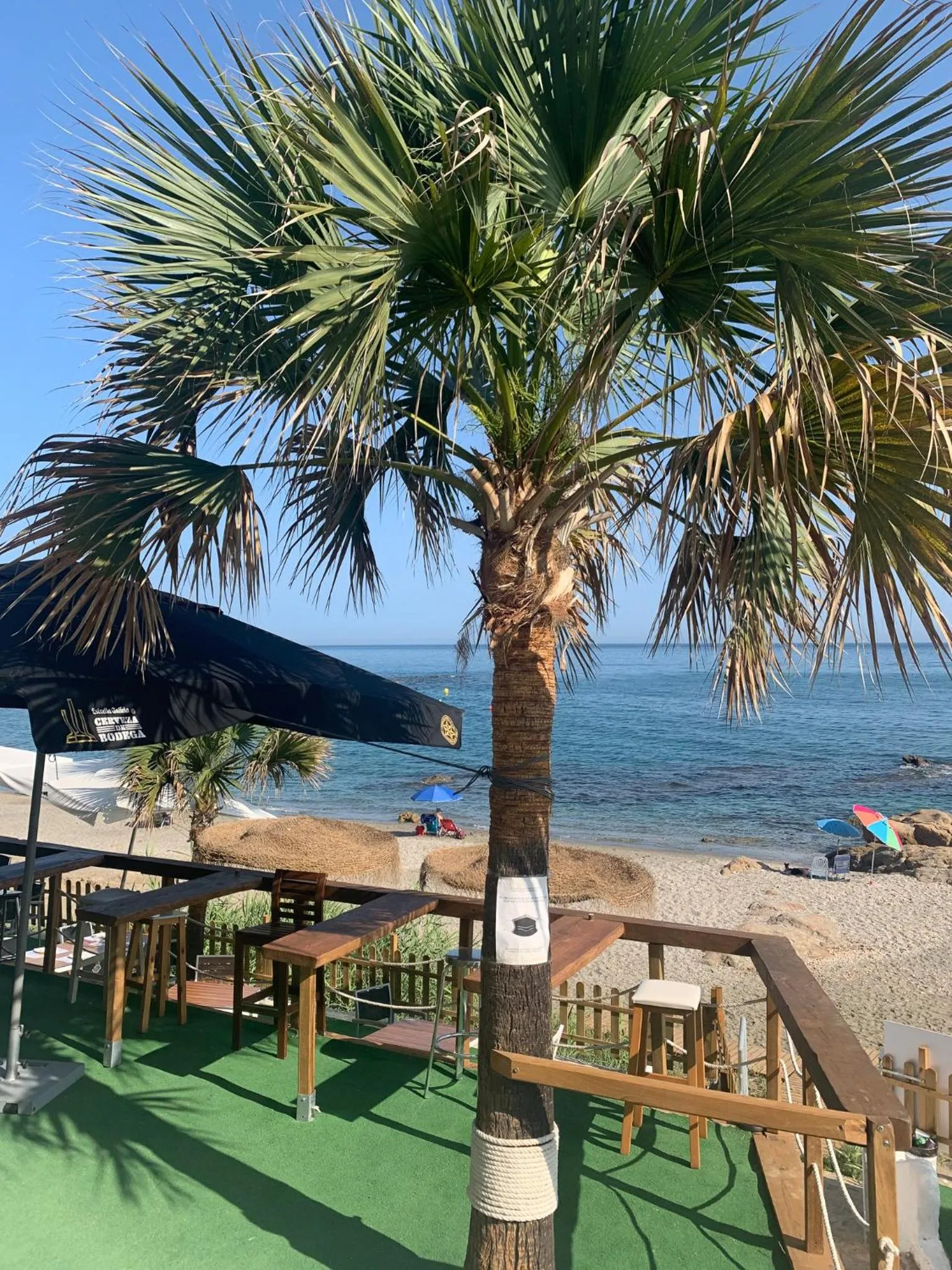 Lounge or bar in Hotel Patricia