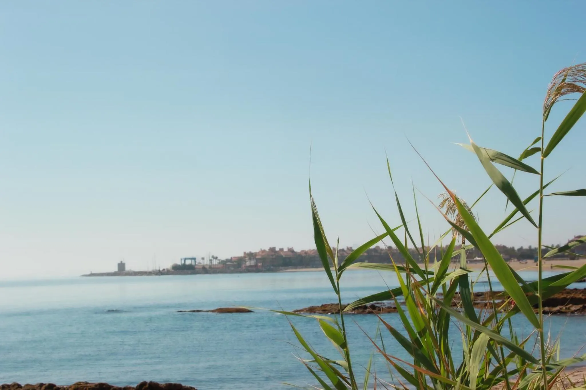 Beach in Hotel Patricia
