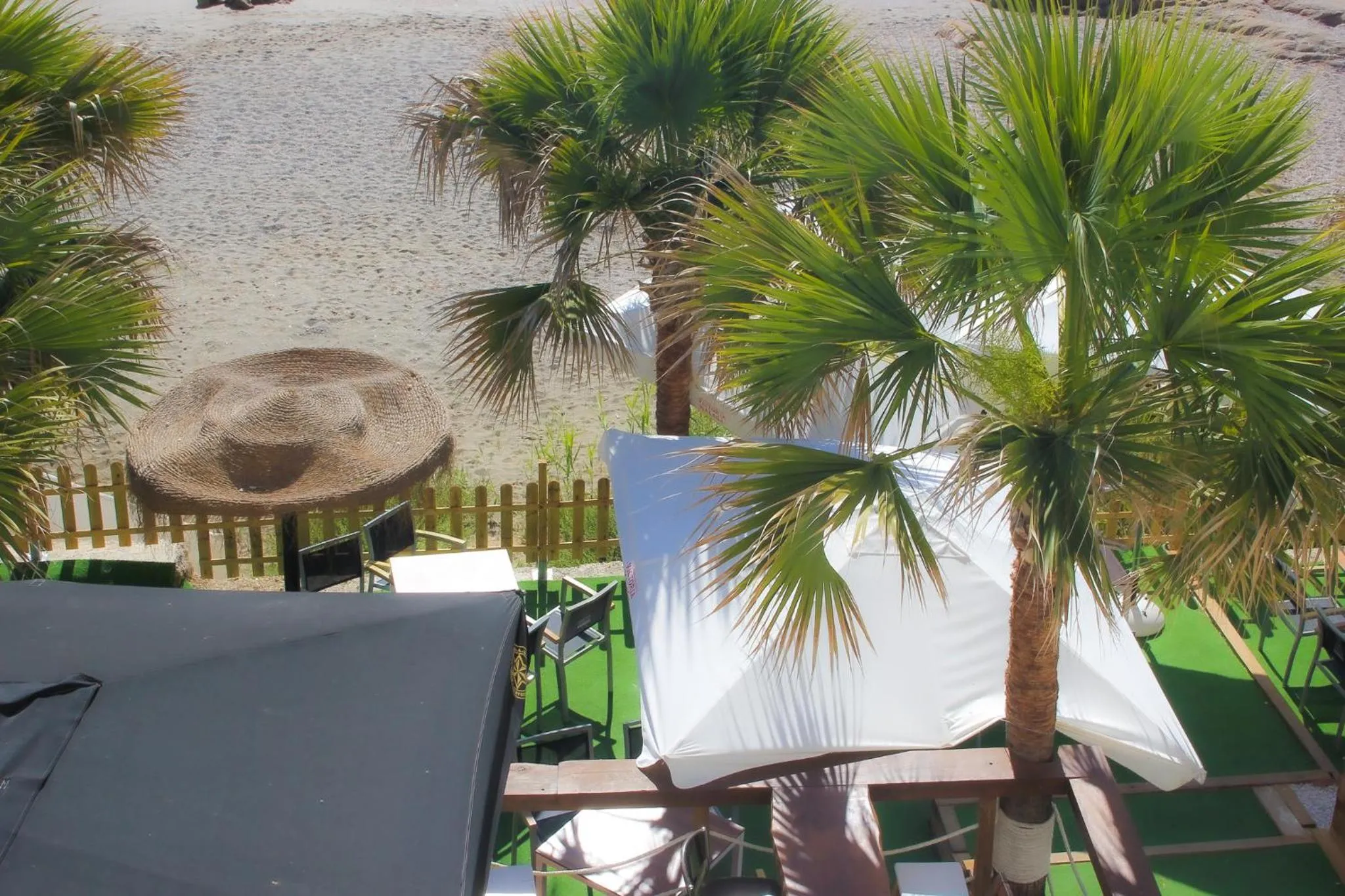 Lounge or bar in Hotel Patricia