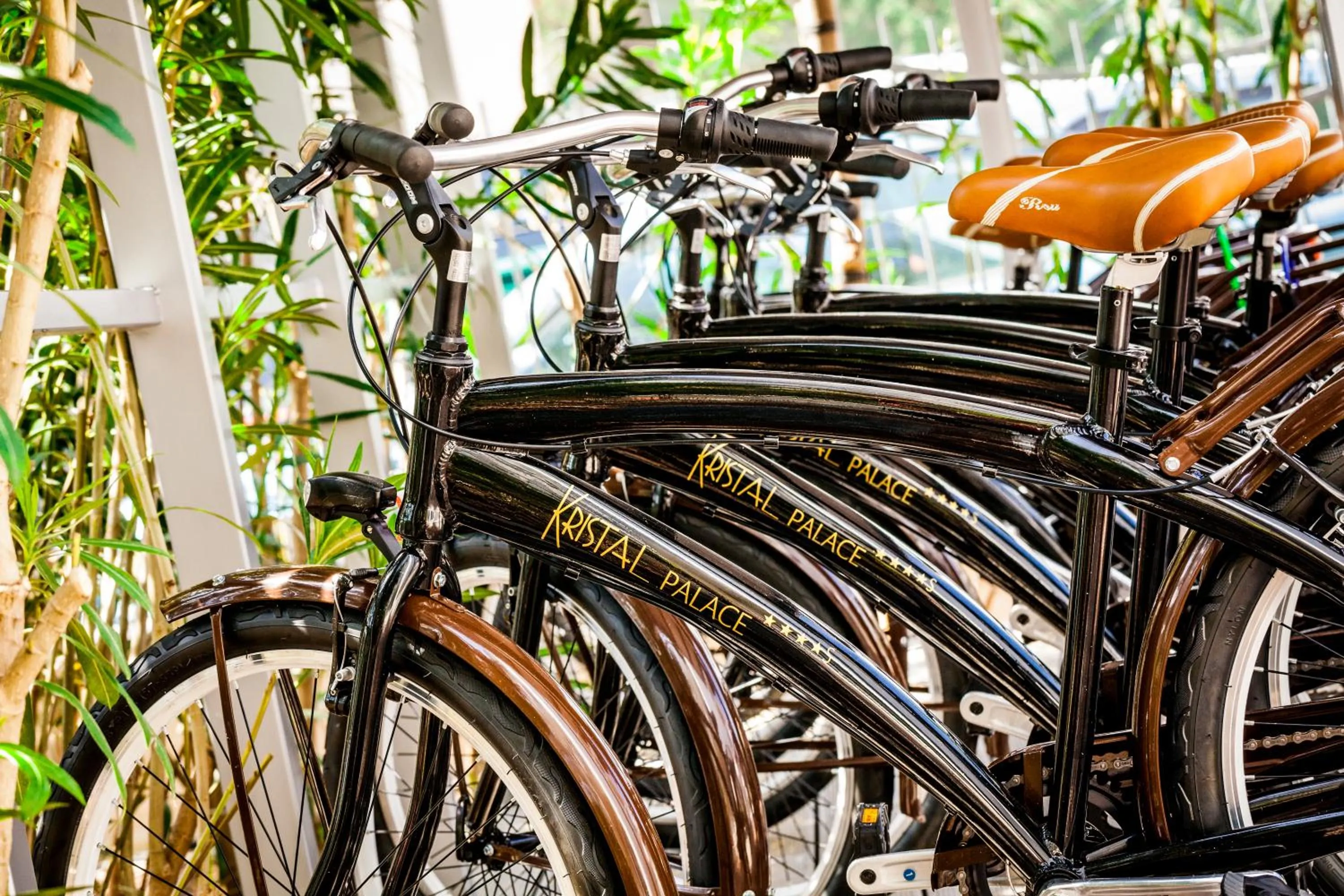 Other in Hotel Kristal Palace - Tonelli Hotels - Adult Friendly