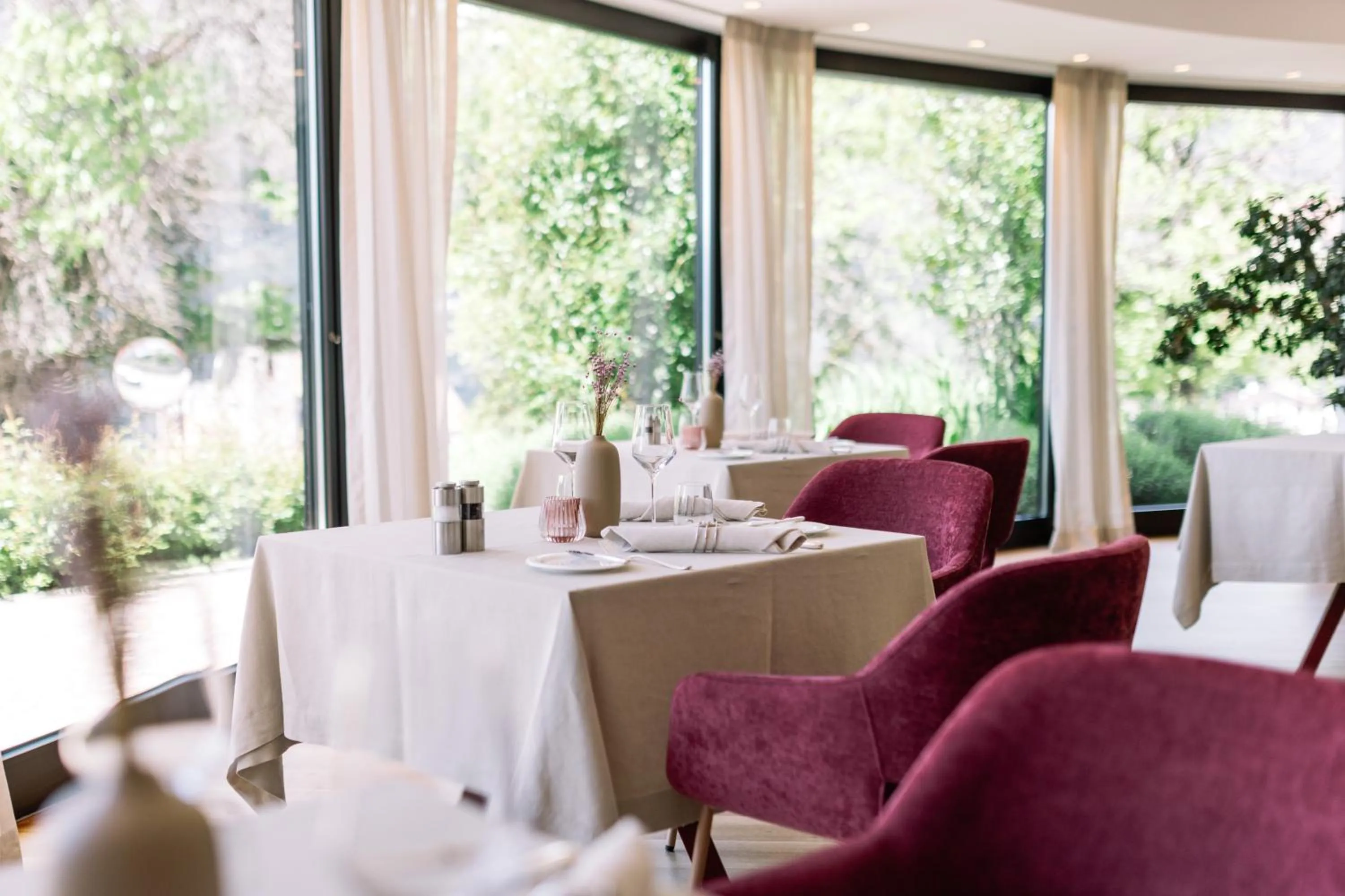 Restaurant/places to eat in Hotel Hohenwart