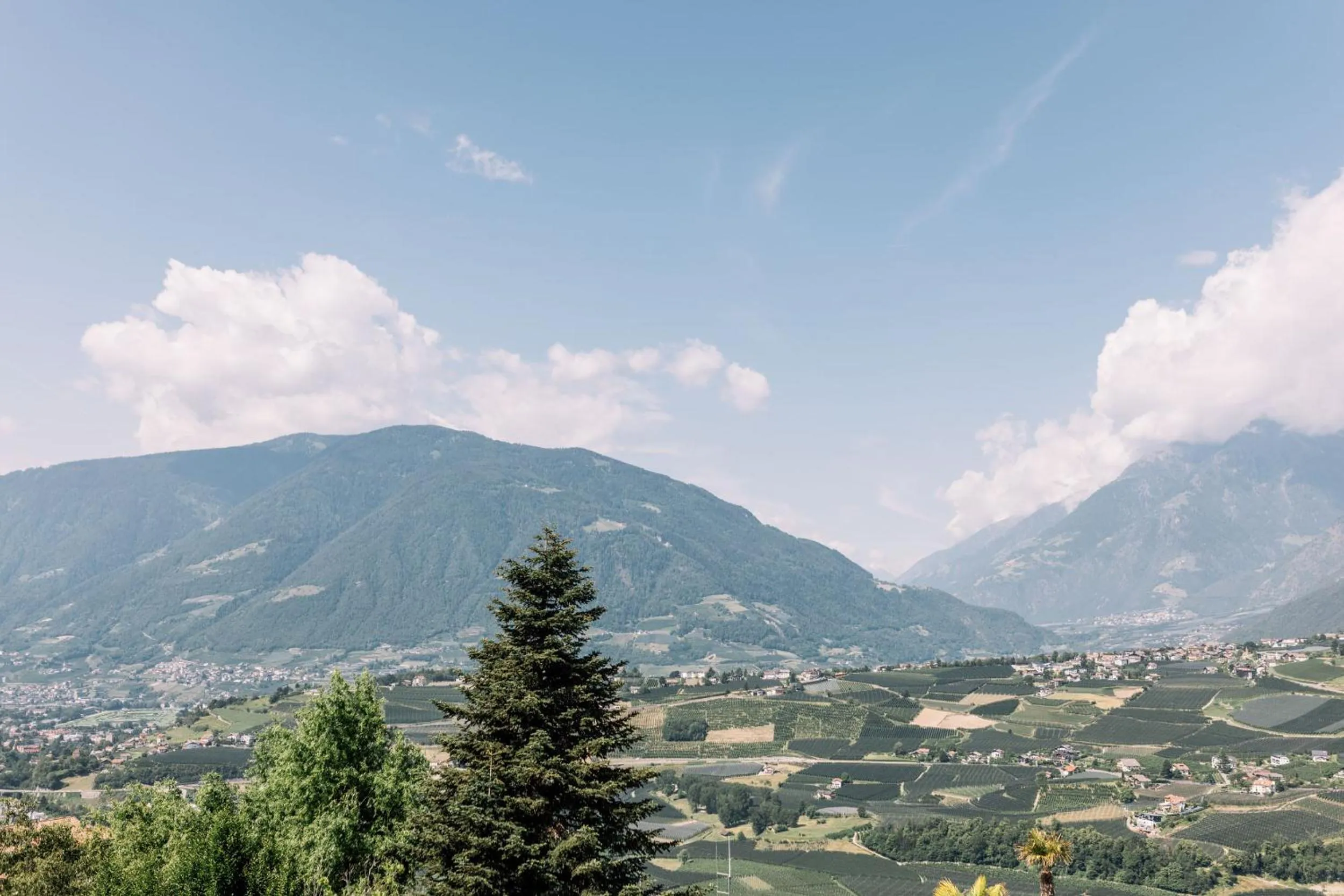 View (from property/room) in Hotel Hohenwart