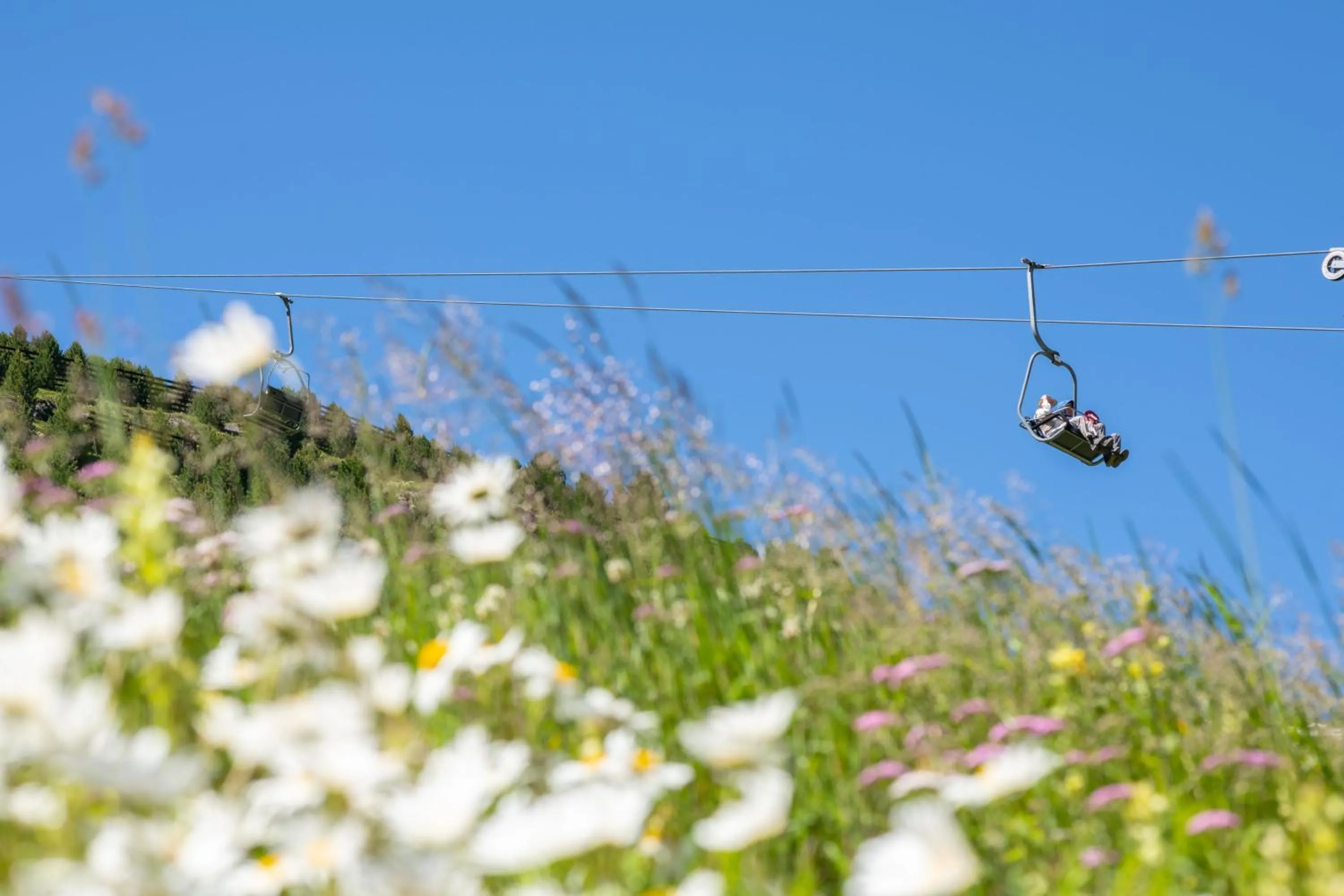 Natural landscape in Natur & Alpinhotel Post