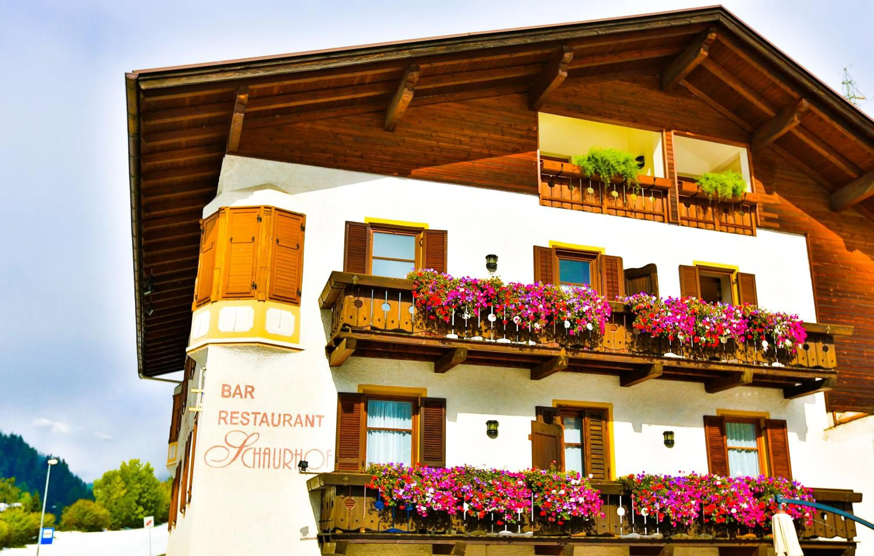 Bird's eye view in Hotel Restaurant Schaurhof