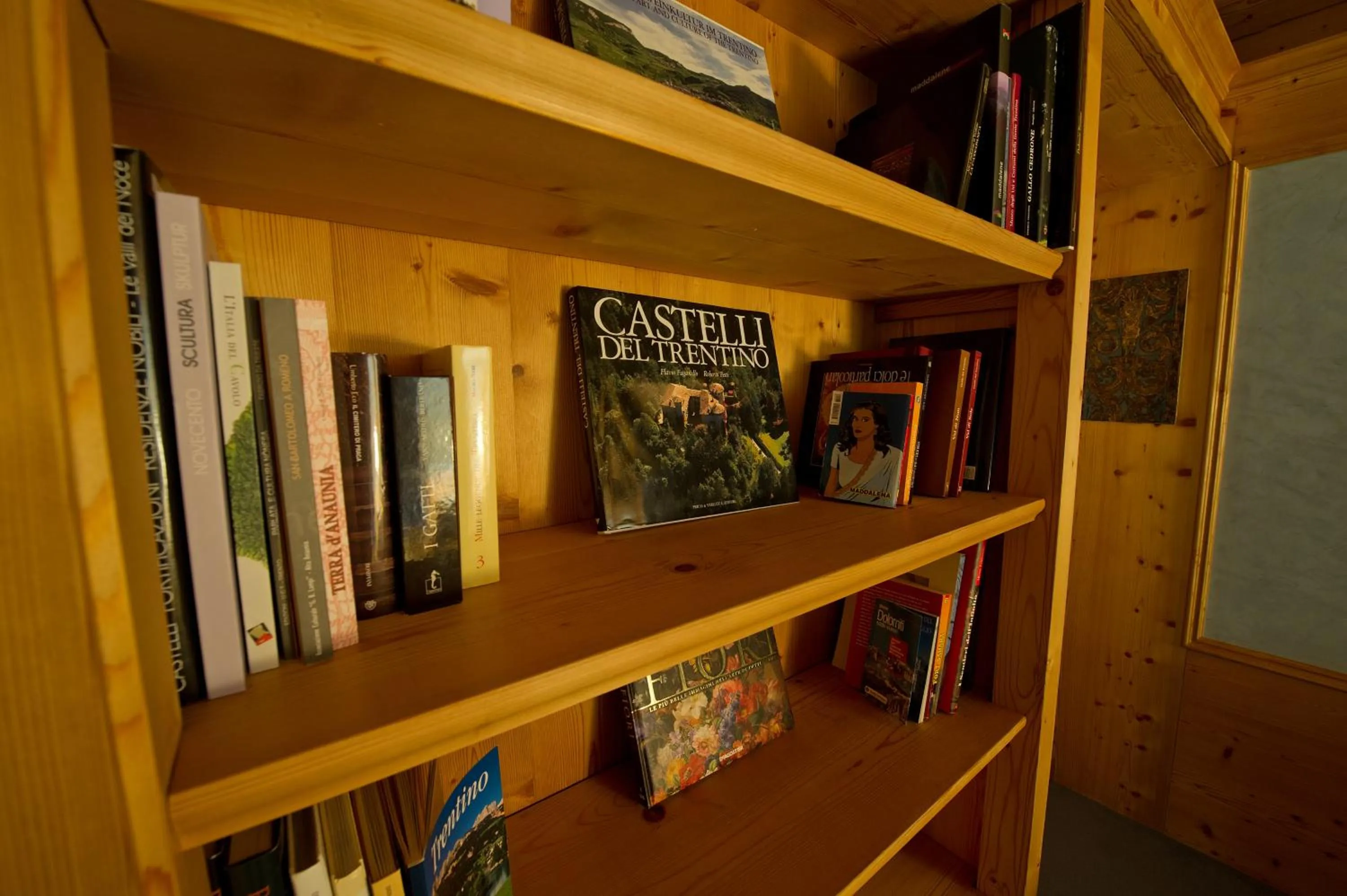 Library in Villa Orso Grigio
