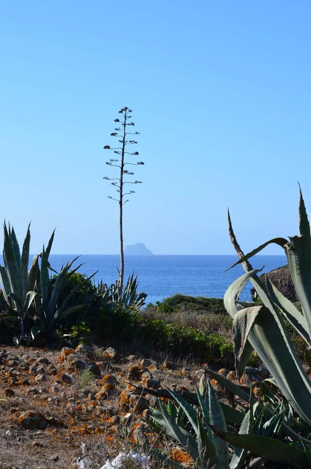 Natural landscape in Casa Vacanze Cala Sapone