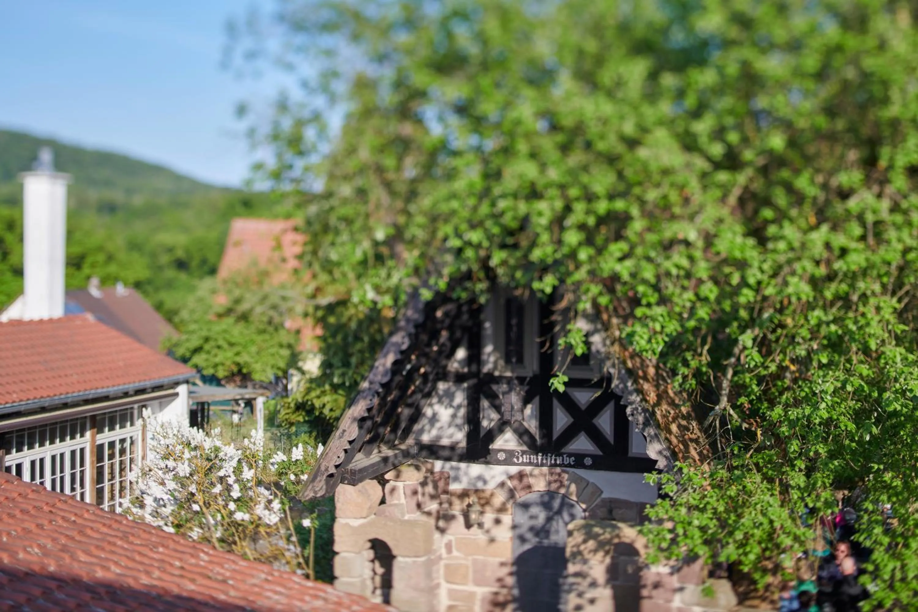 Garden view in Hotel Der Grischäfer