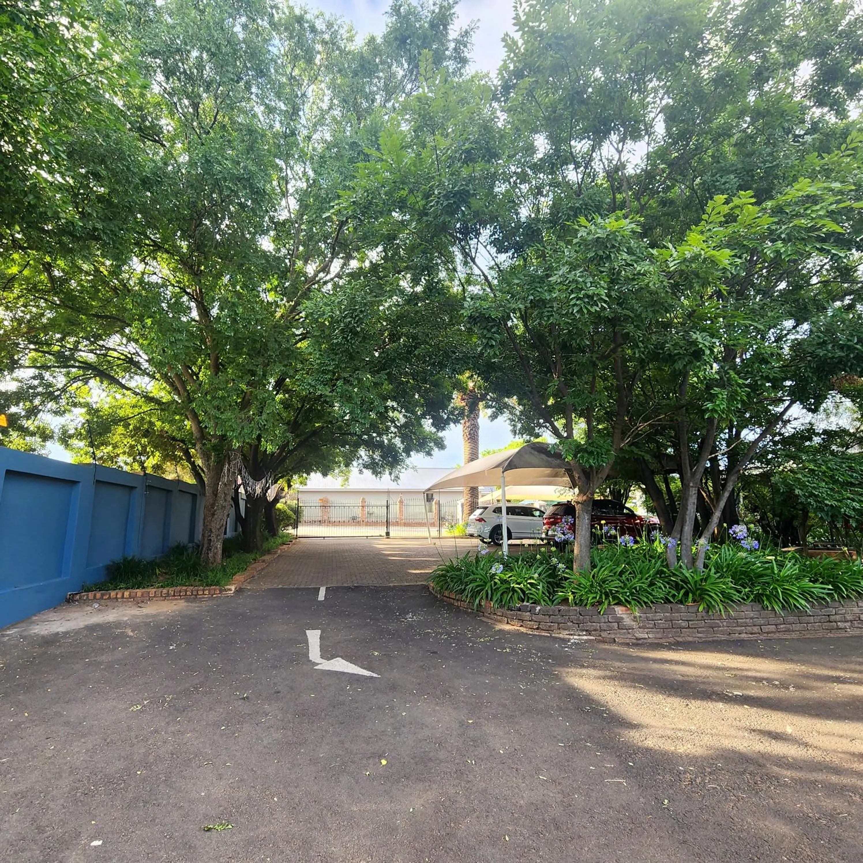 Garden in Picanha Guesthouse